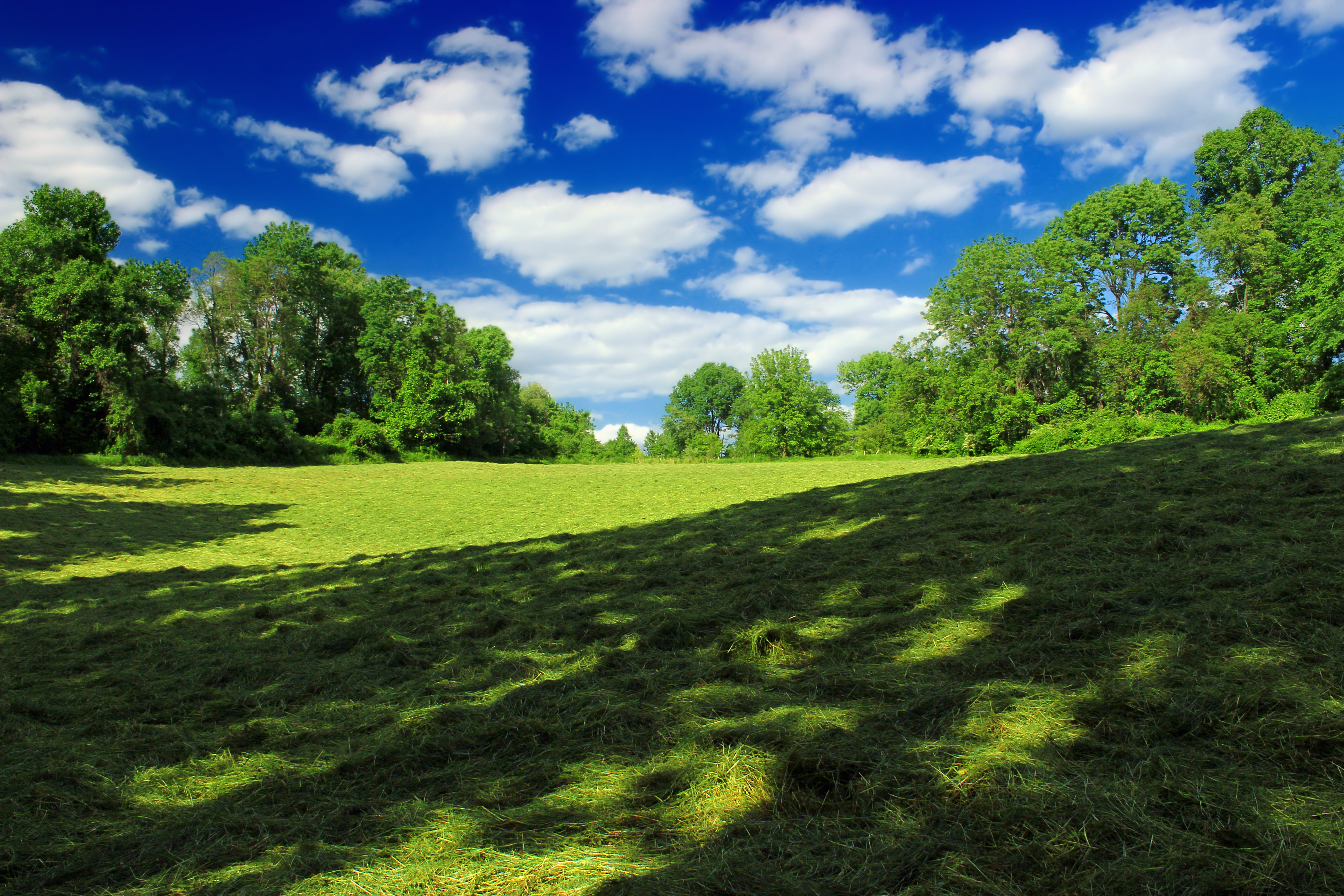 green grass landscape photography Texter Mountain Nature Preserve 2k 4k 5k