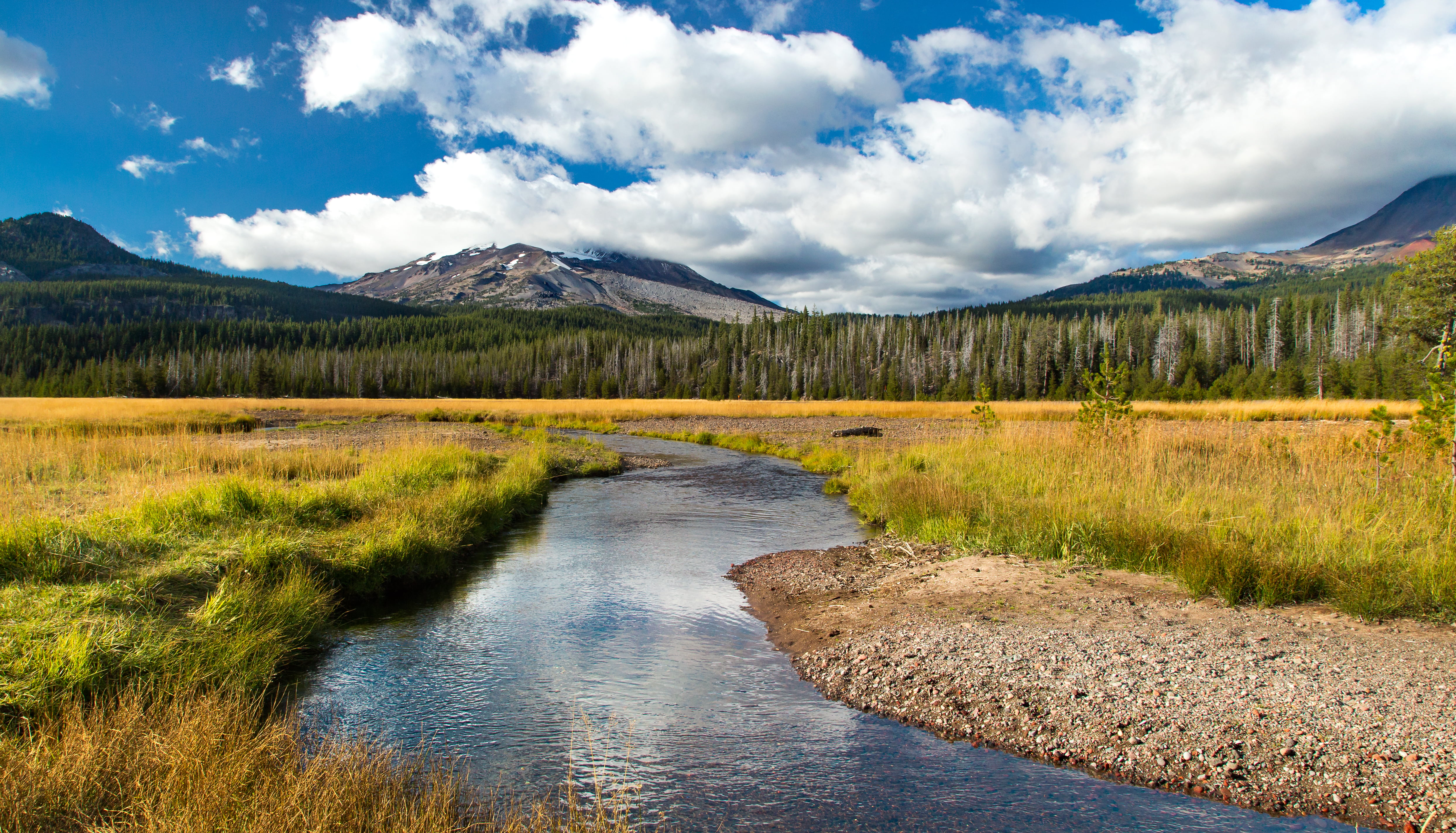 green yard under blue skies soda creek Cascades 2k 4k 5k