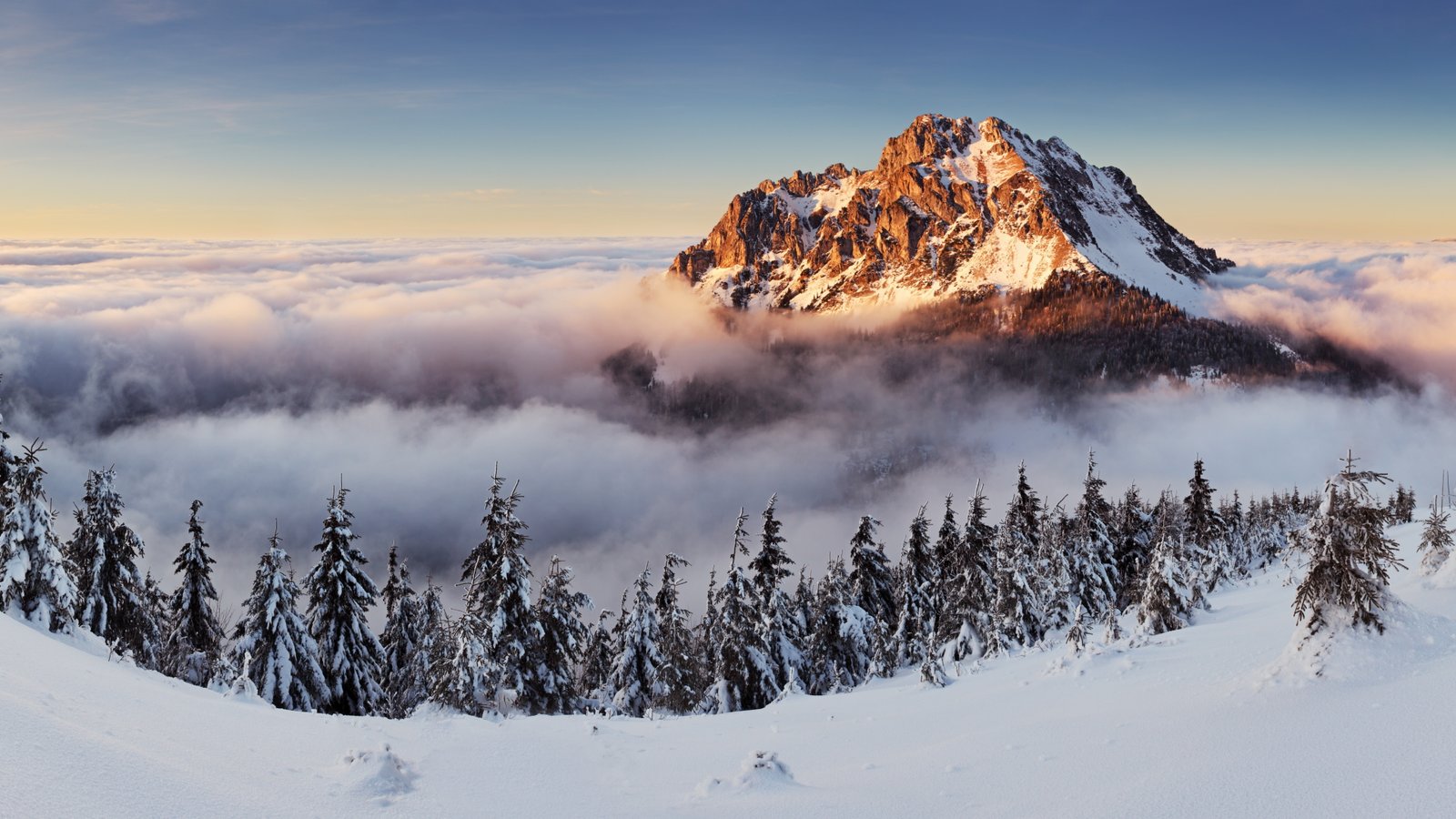 mountain range mountains forest snow winter fog 2k 4k 5k 8k