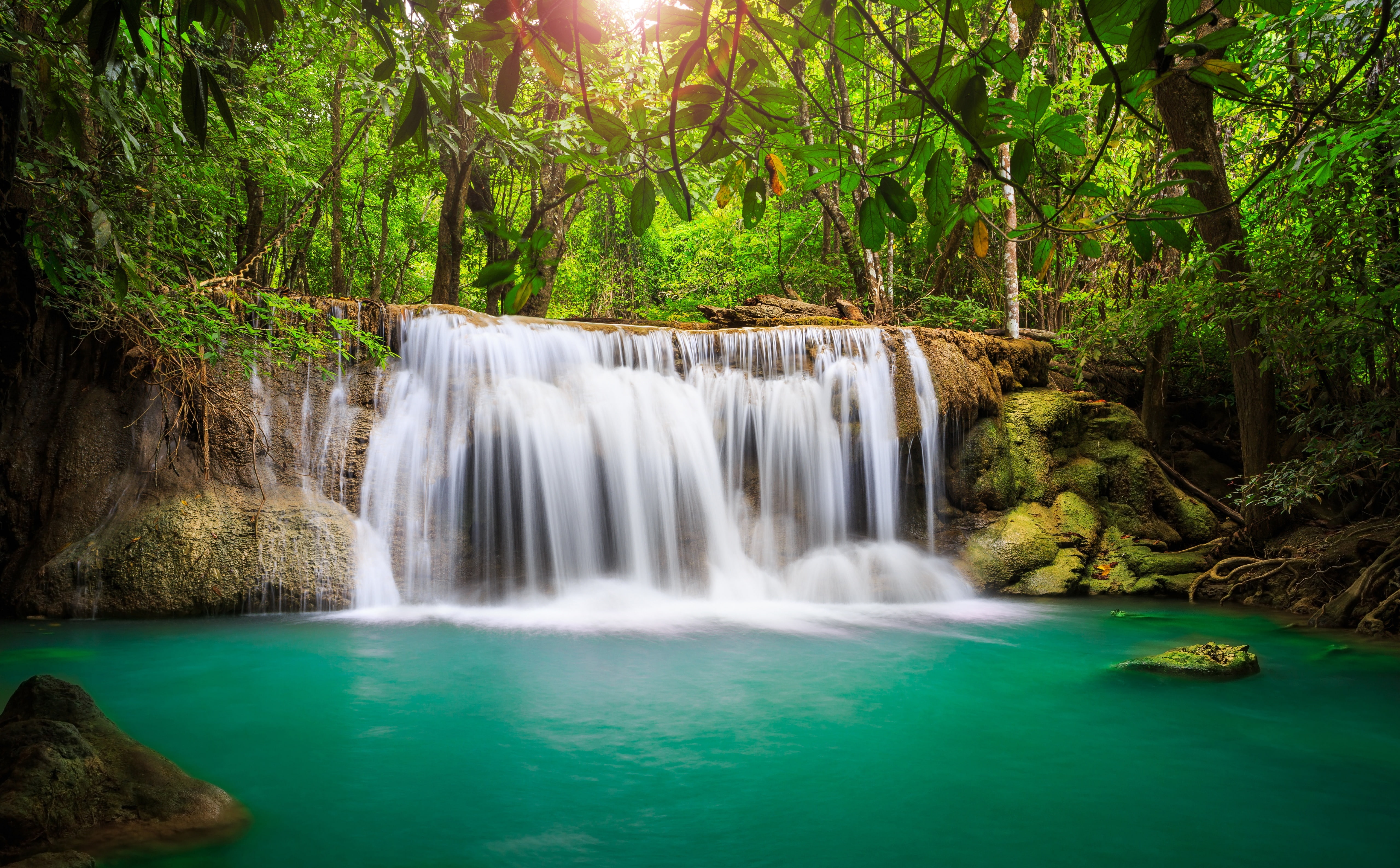 Rainforest Waterfall HD Wallpaper waterfalls Nature Travel 2k 4k 5k
