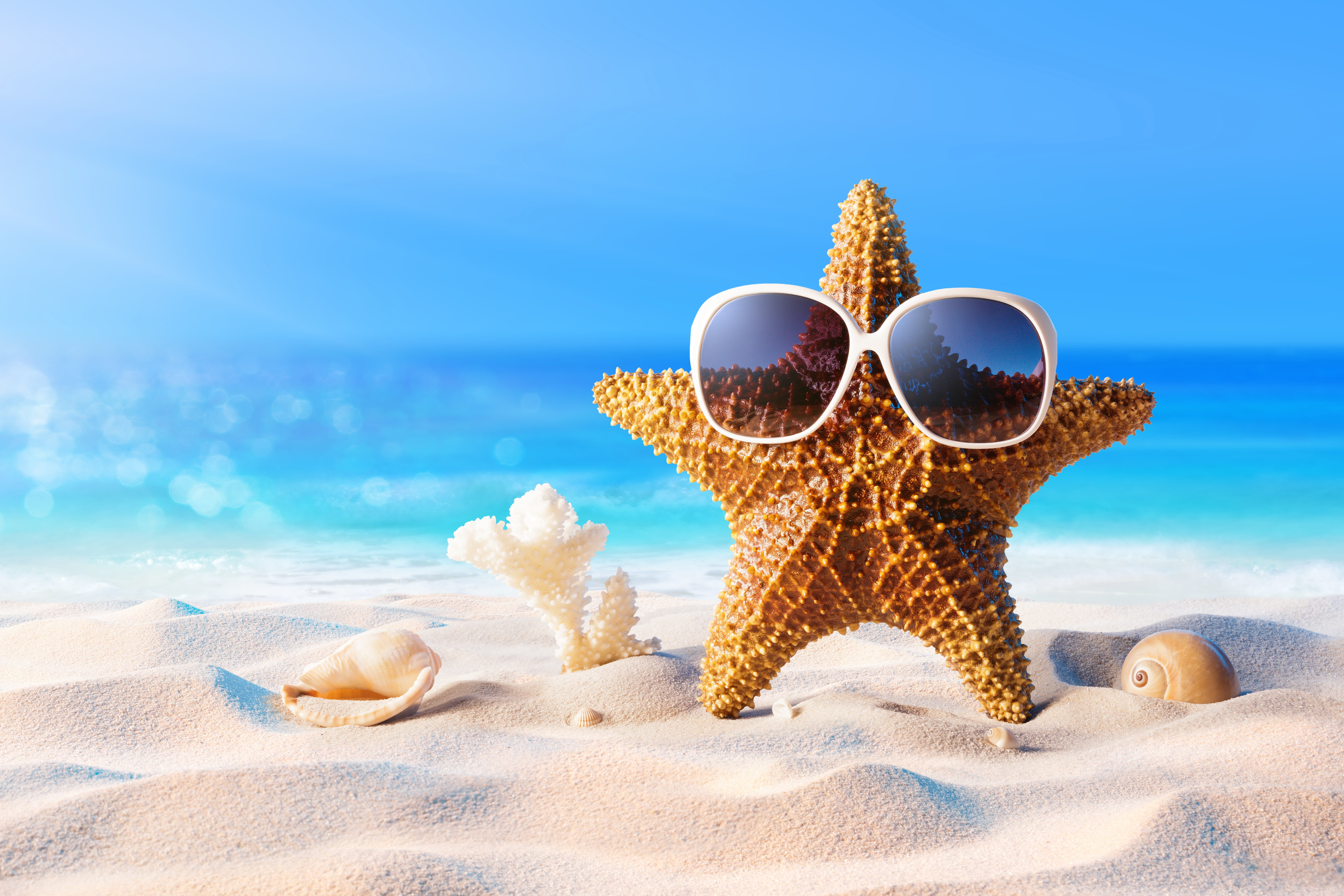 sand sea beach summer star vacation glasses shell starfish 2k 4k 5k