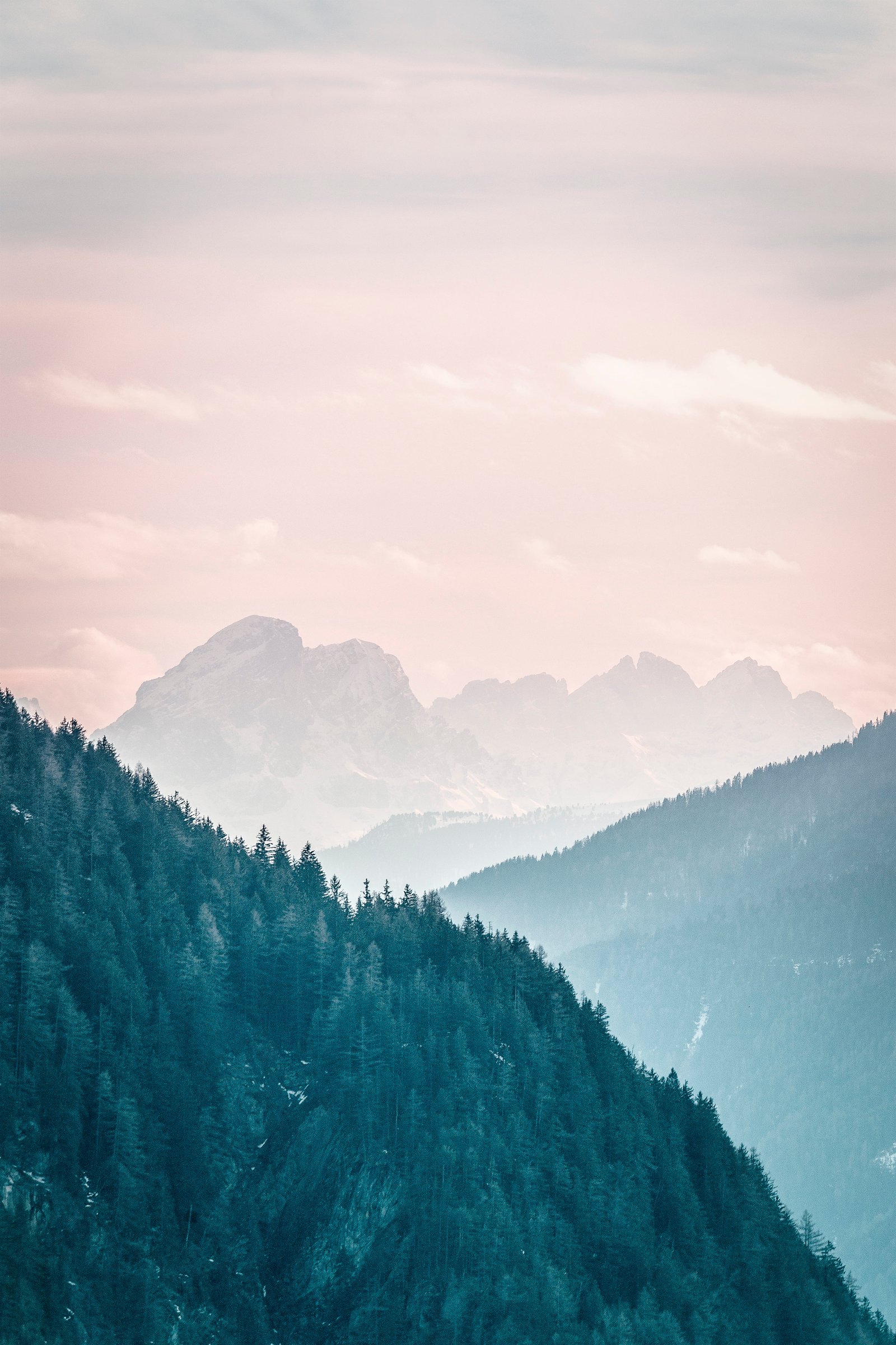 Landscape Photo of Green Trees and Mountains wallpaper desktop 2k 4k