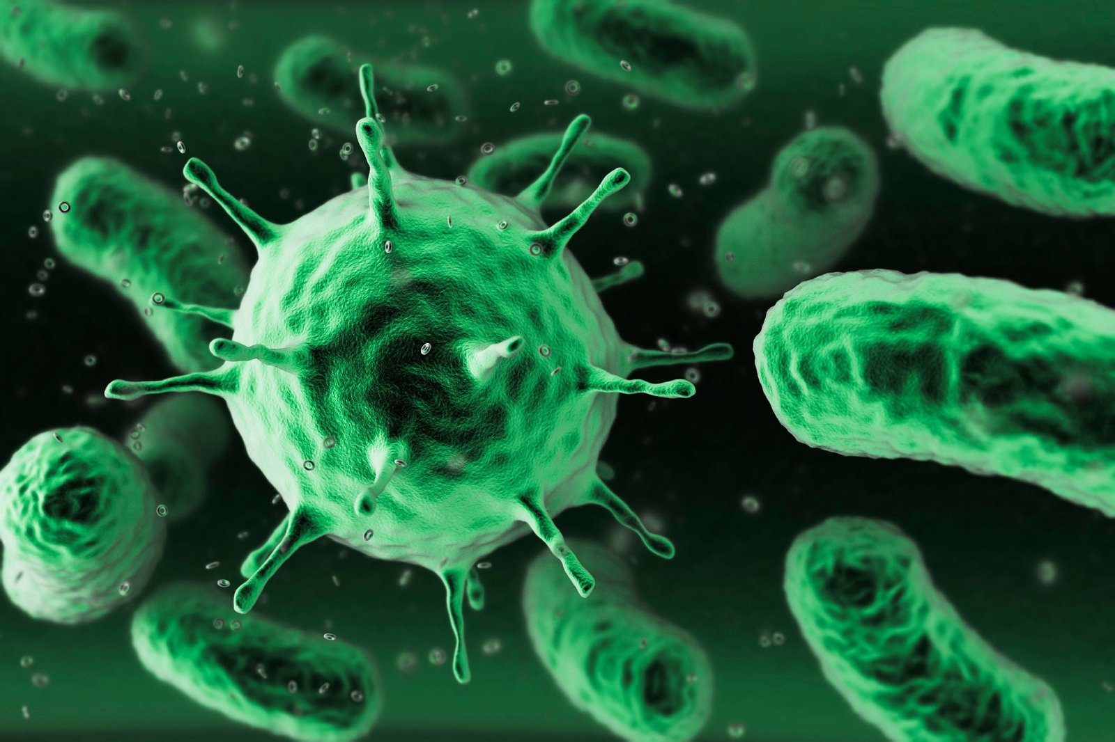 bacteria illustration microscopic macro miniatures green 2k