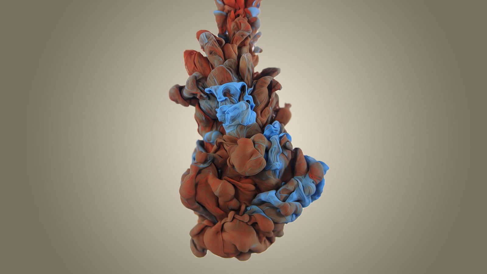 brown and blue lay illustration digital wallpaper 2k