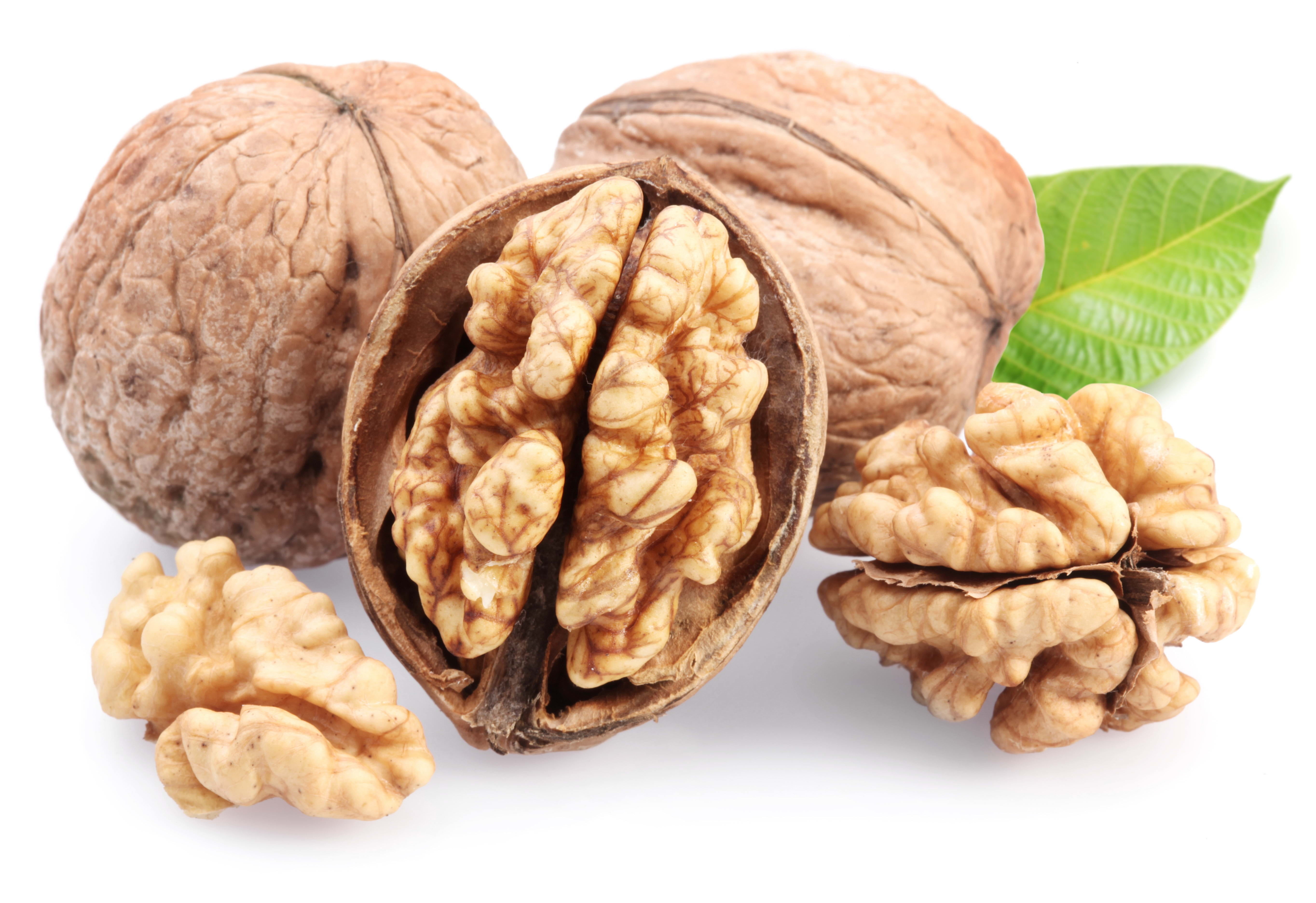 brown nut nuts leaf cut walnut food nutshell Food 2k 4k 5k