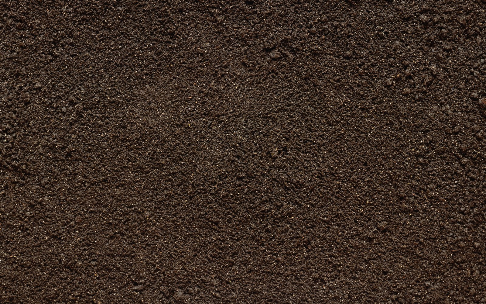 brown soil surface dirt stones texture backgrounds close up 2k