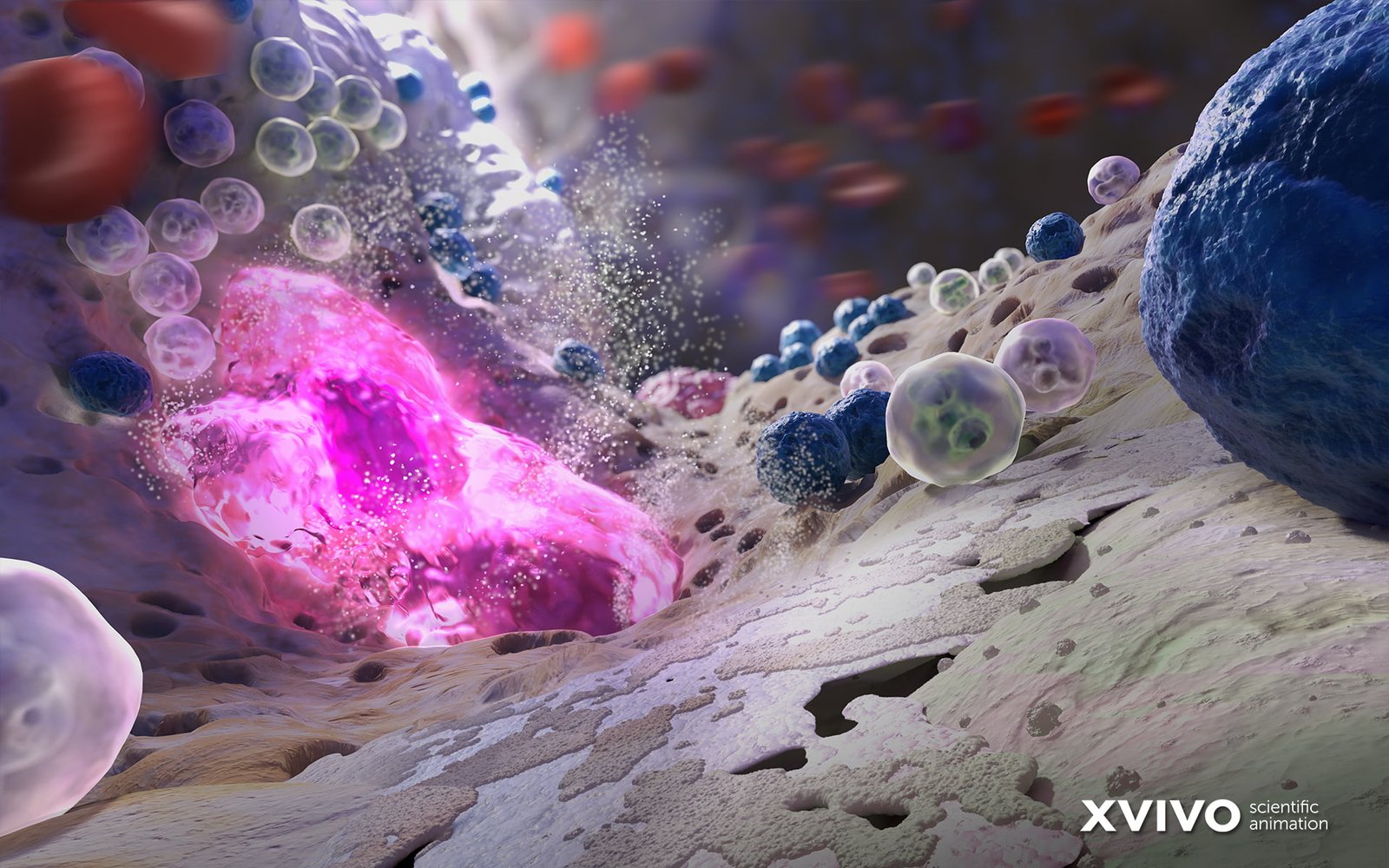 digital art macro closeup bacteria viruses biology science 2k