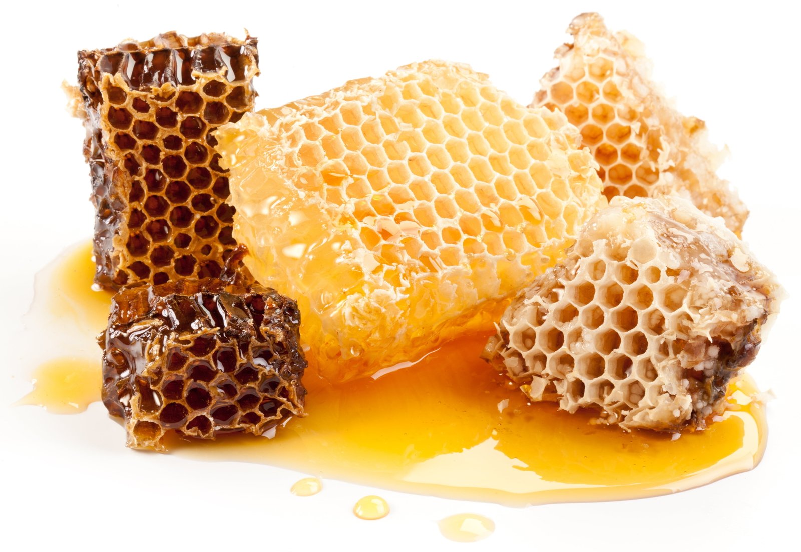 honeycombs and honey sweet bee beeswax yellow food Food 2k 4k 5k