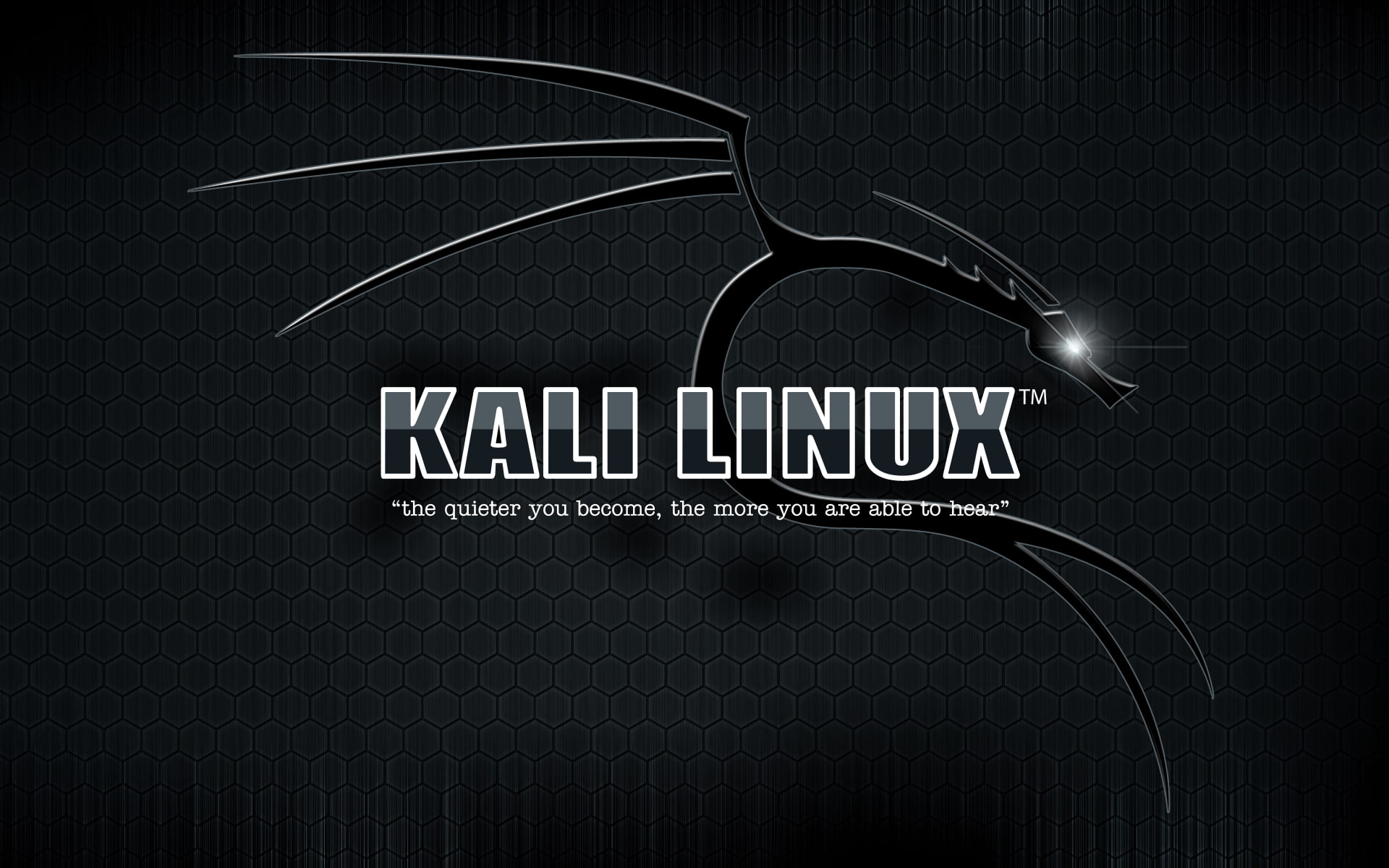 Kali Linux text western script communication indoors capital letter 2k