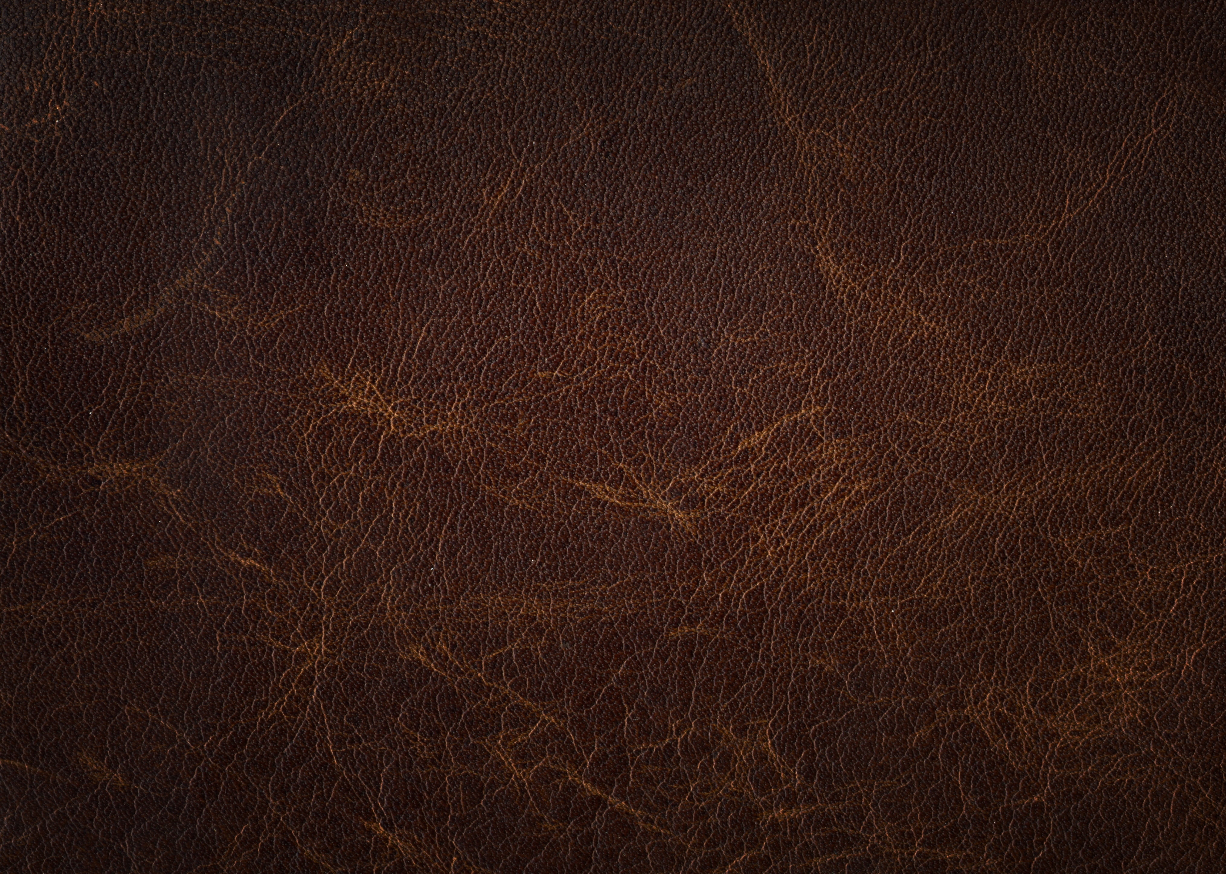 leather texture skin backgrounds pattern hide material 2k 4k