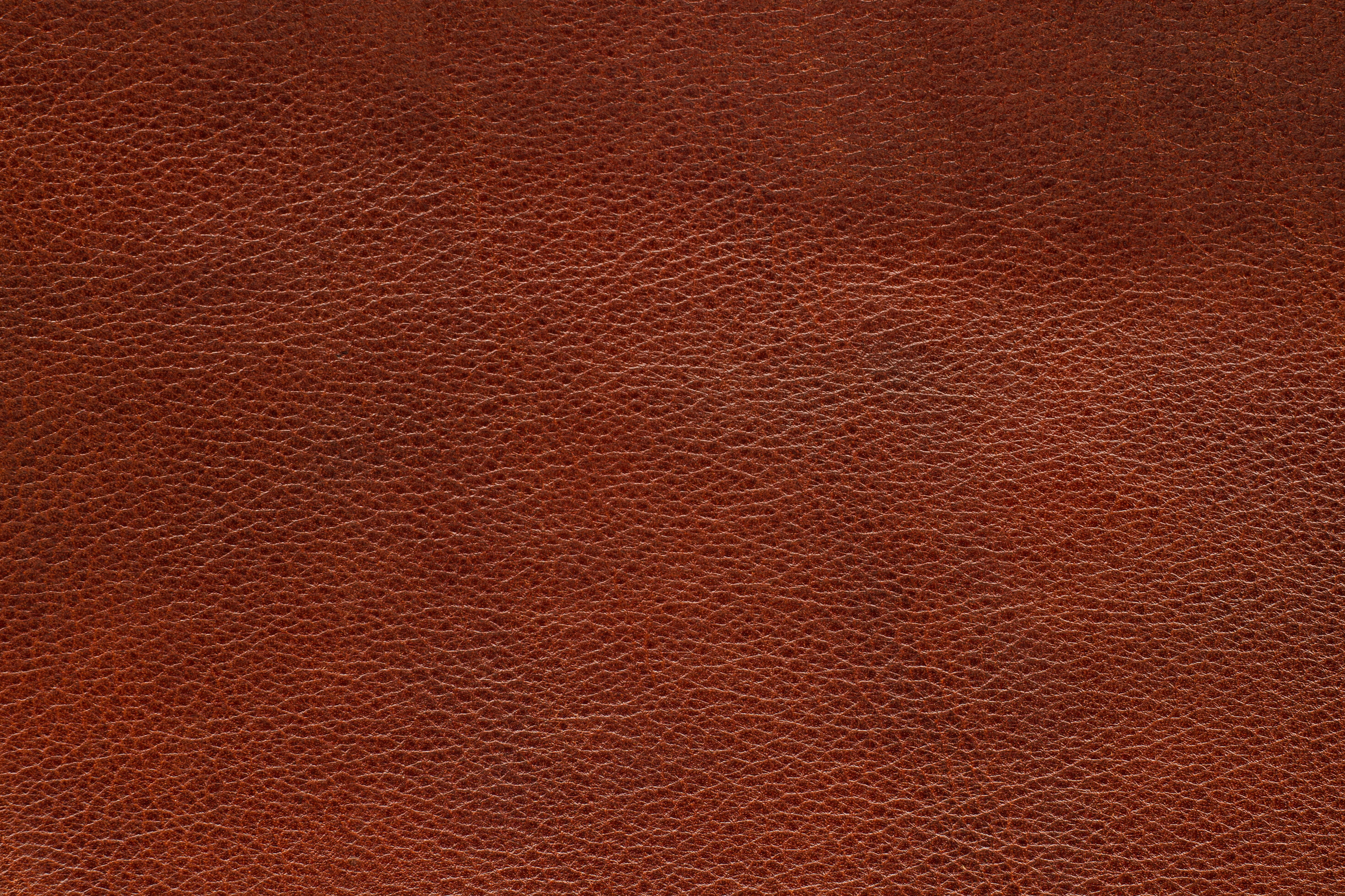 leather texture skin backgrounds pattern material hide 2k 4k 5k