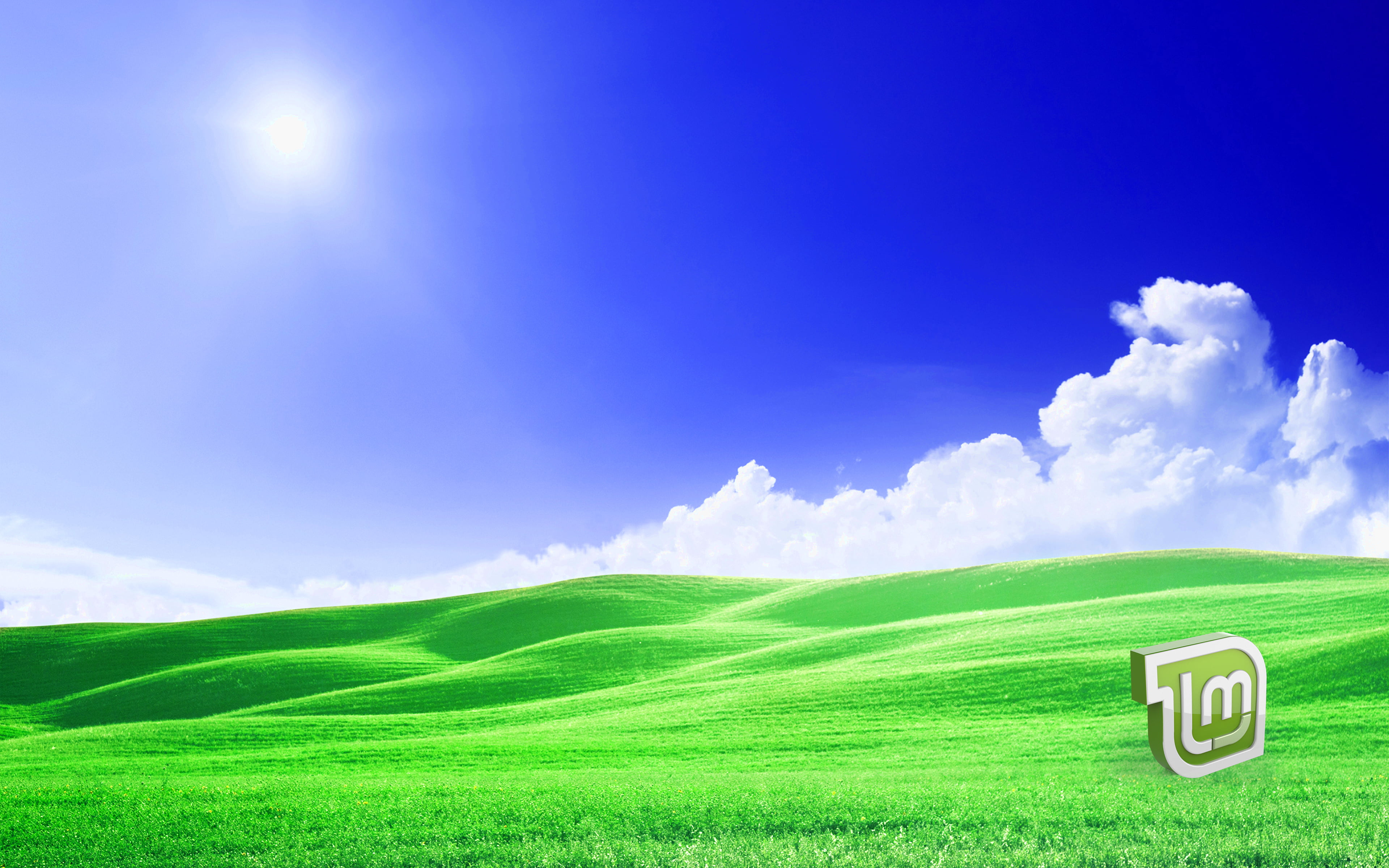 Linux Mint computer 2k 4k