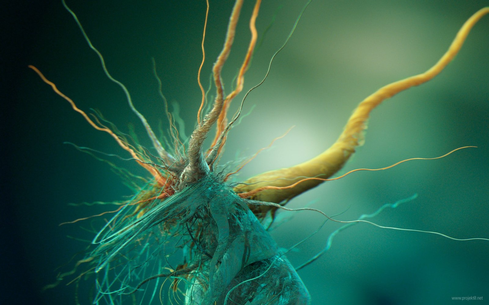 macro photography of brown root abstract brain cells biology 2k