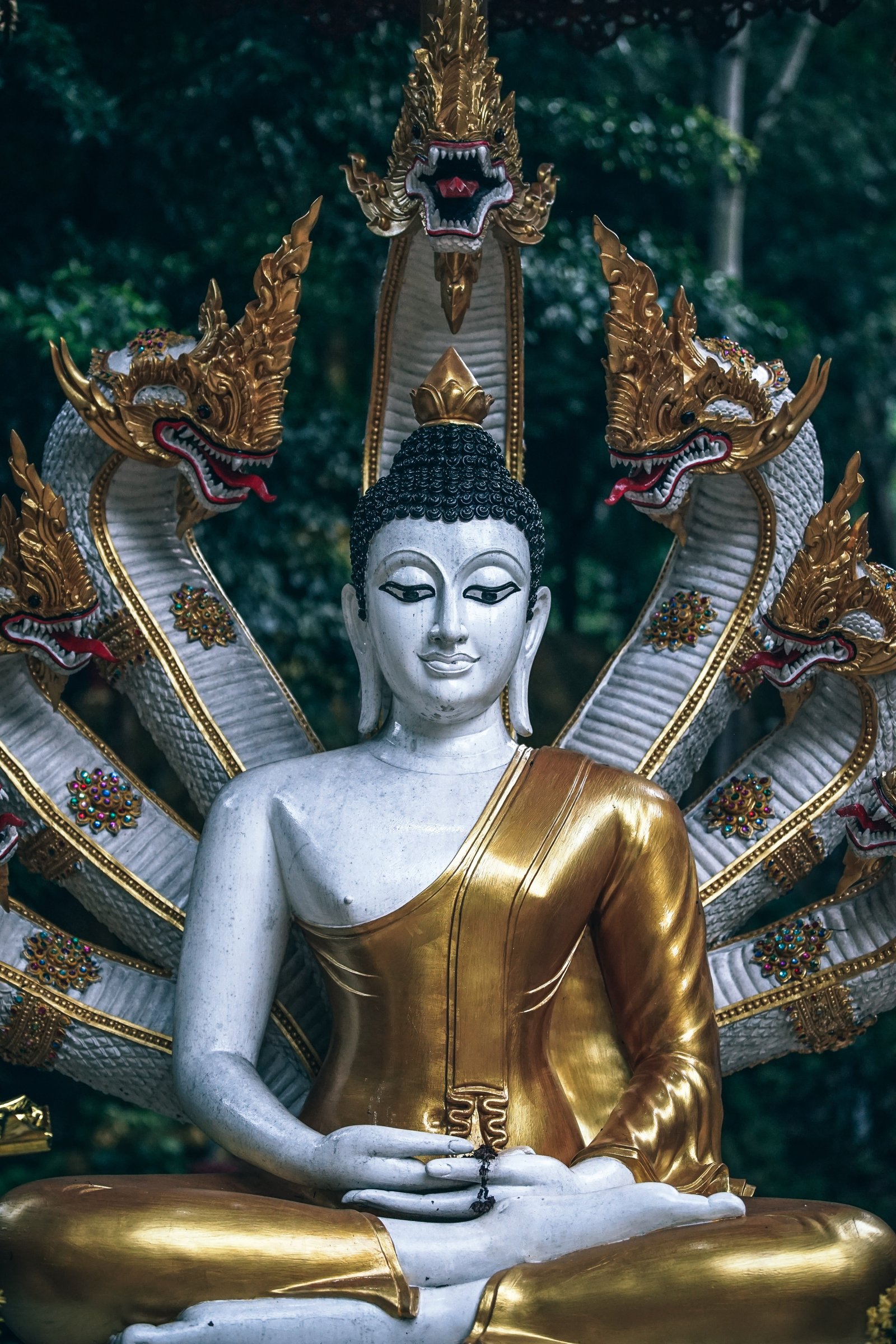 Macro Shot Photography of Gautama Buddha Figurine ancient antique 2k 4k