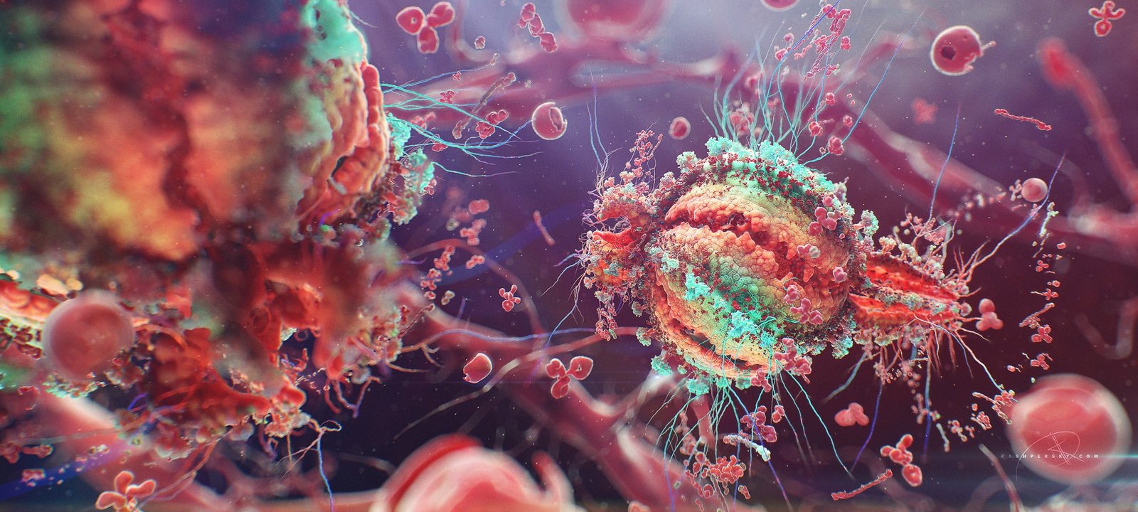 micro organism multicolored microscopic images colorful macro 2k