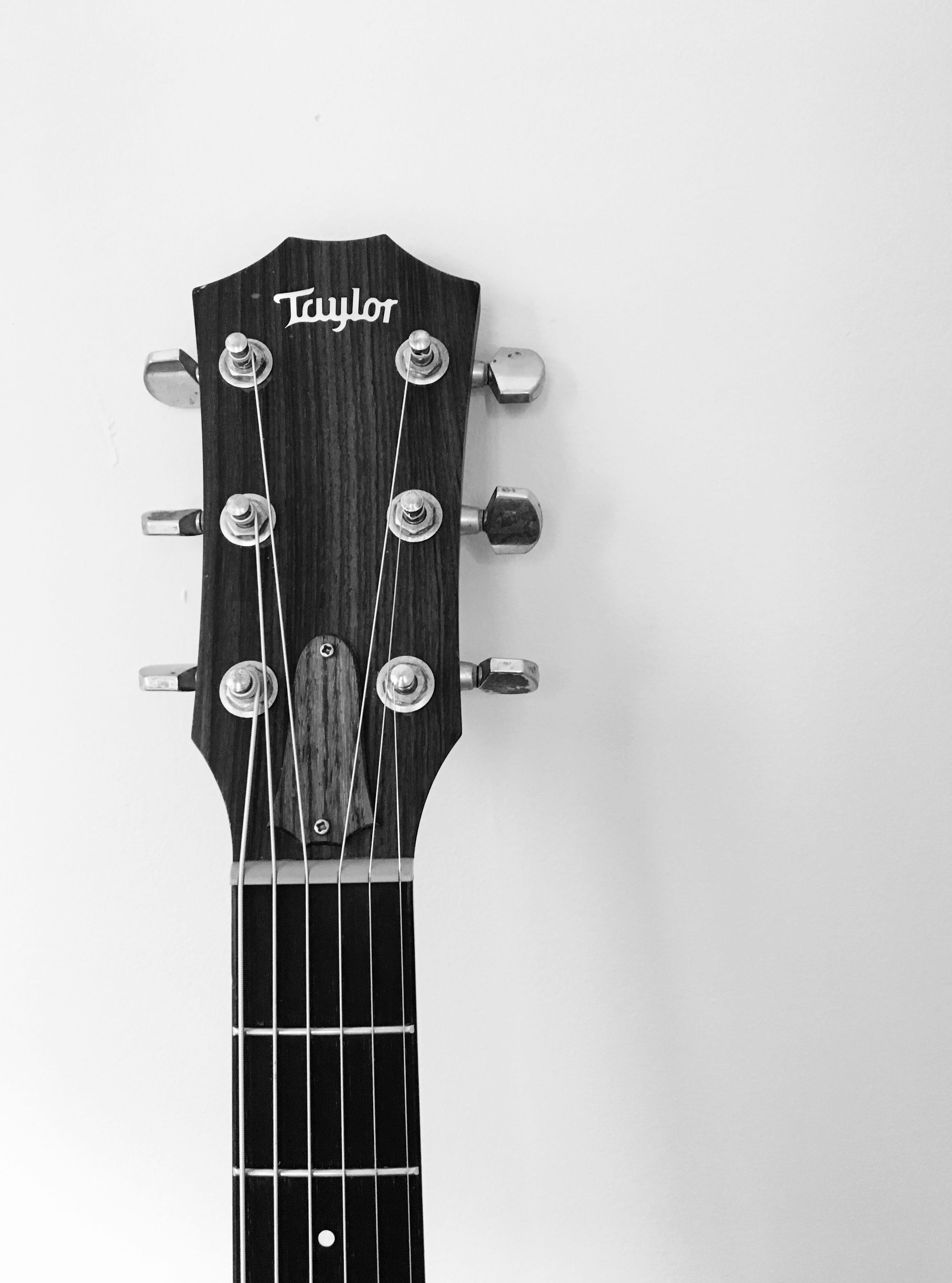 taylor guitar macro black and white musical instruments 2k