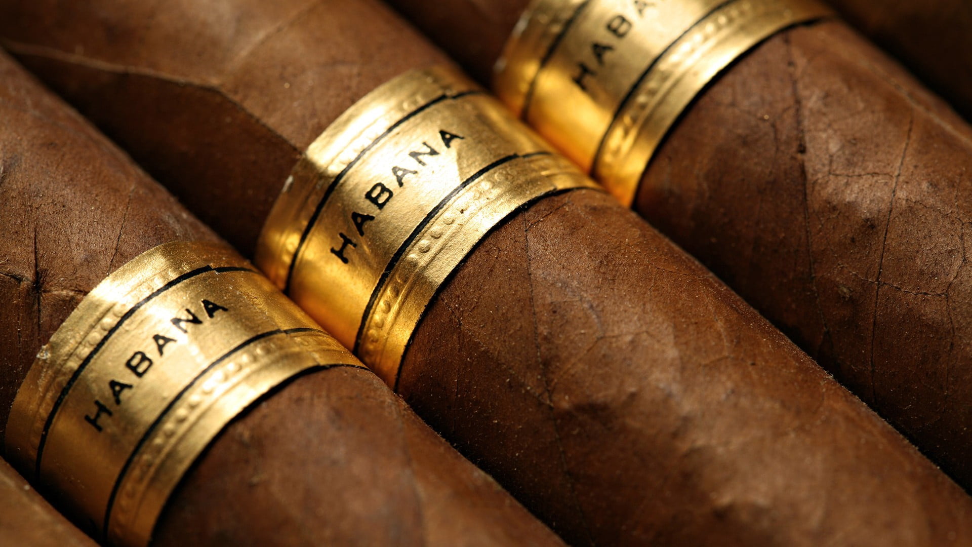 three Habana tobaccos closeup cigars macro close up gold Colored 2k