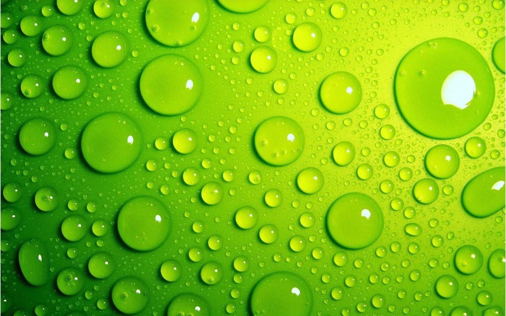 water drops macro green wet color close up backgrounds 2k