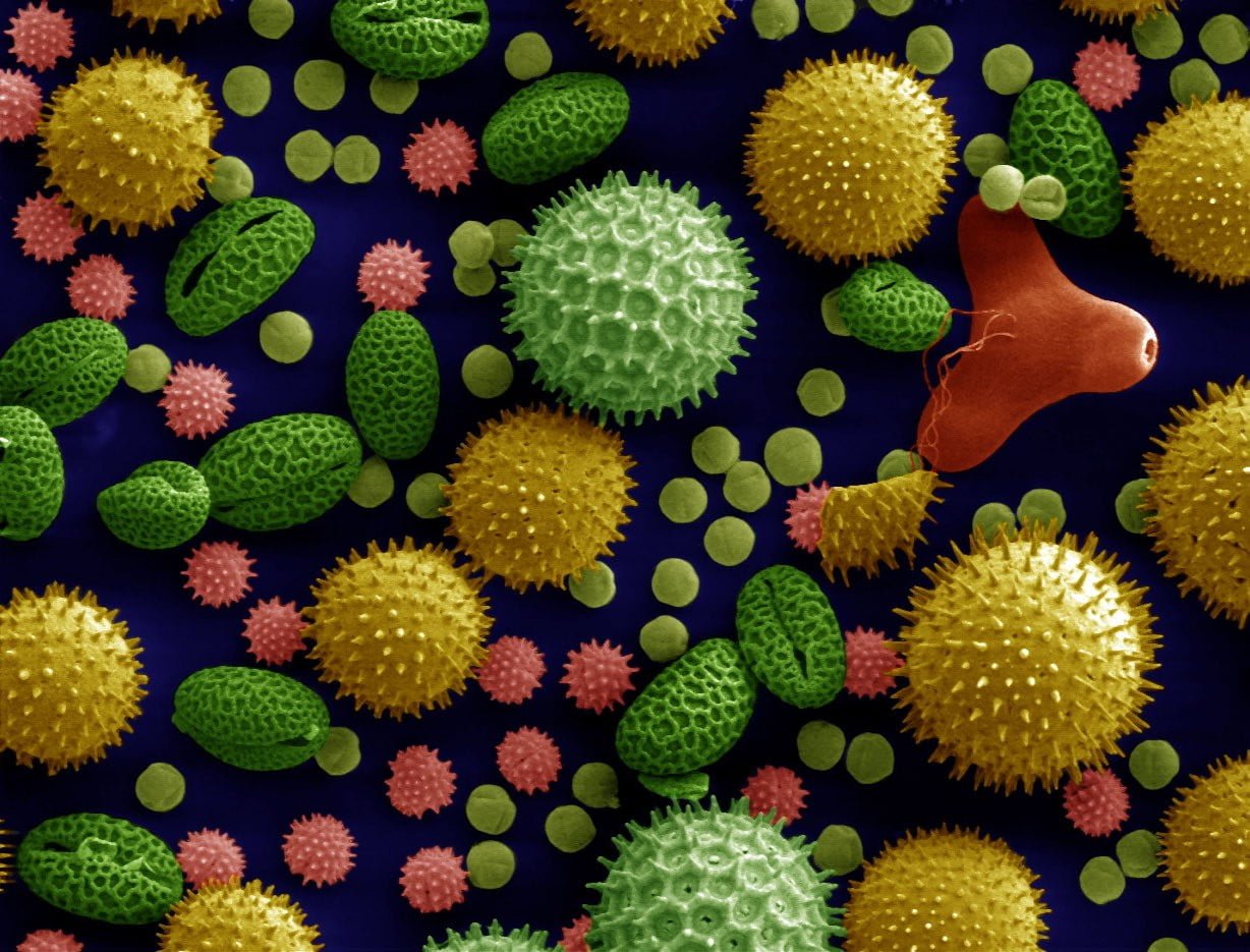 yellow and green plastic toy microscopic macro colorful miniatures