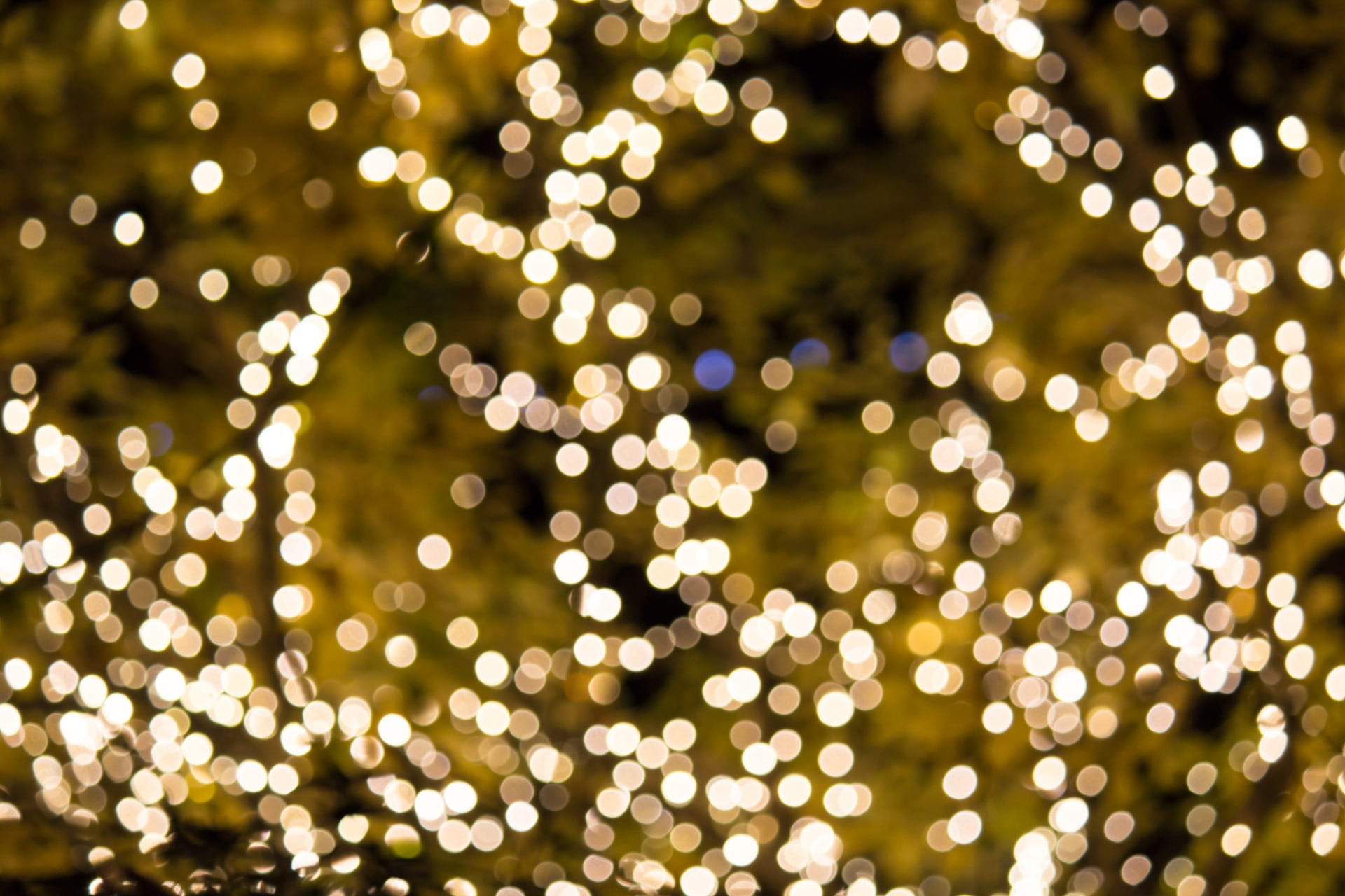 bokeh lights blur phtography holiday bright glow celebrate 2k
