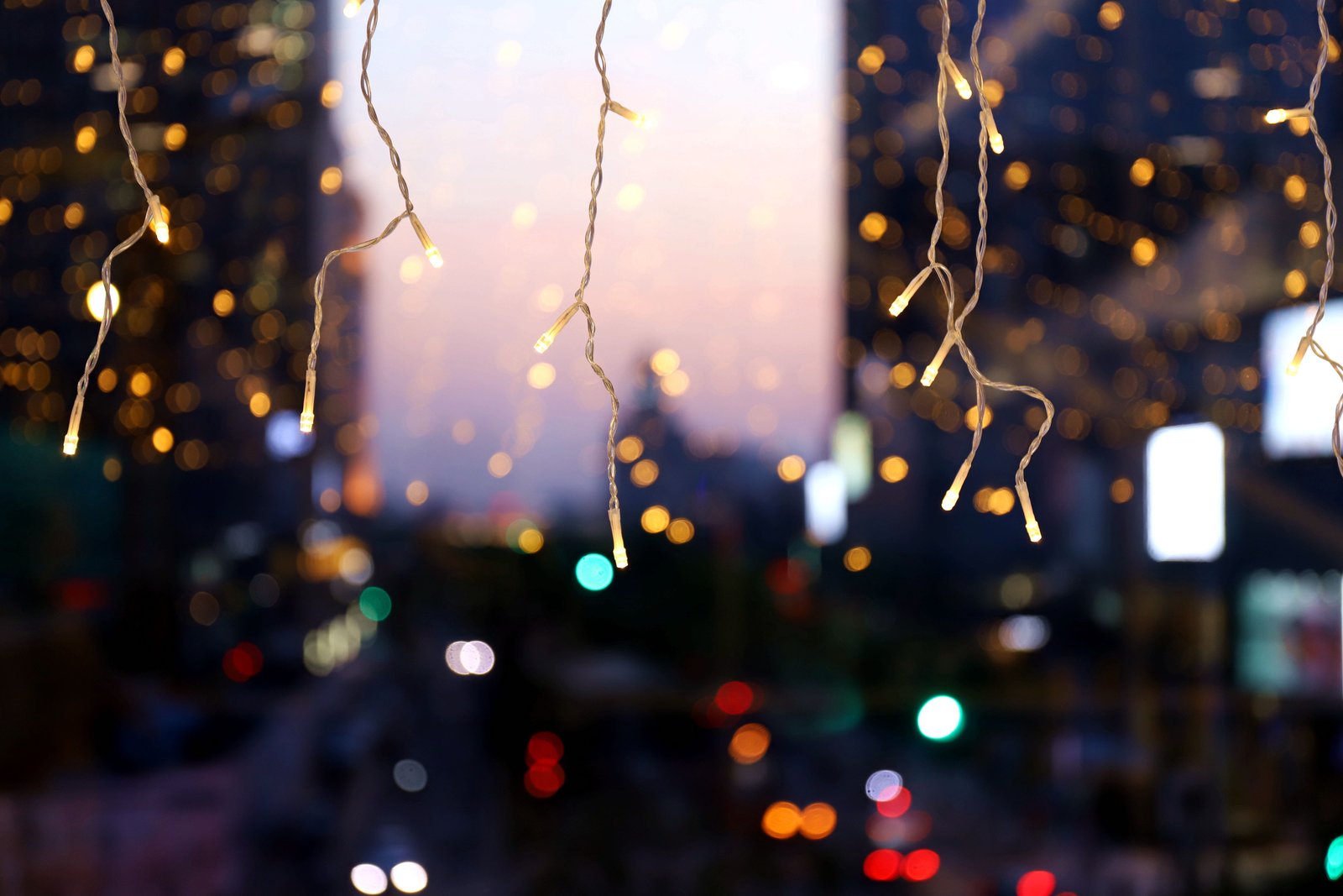 bokeh photography of string lights fairy fairly lighting 2k 4k 5k