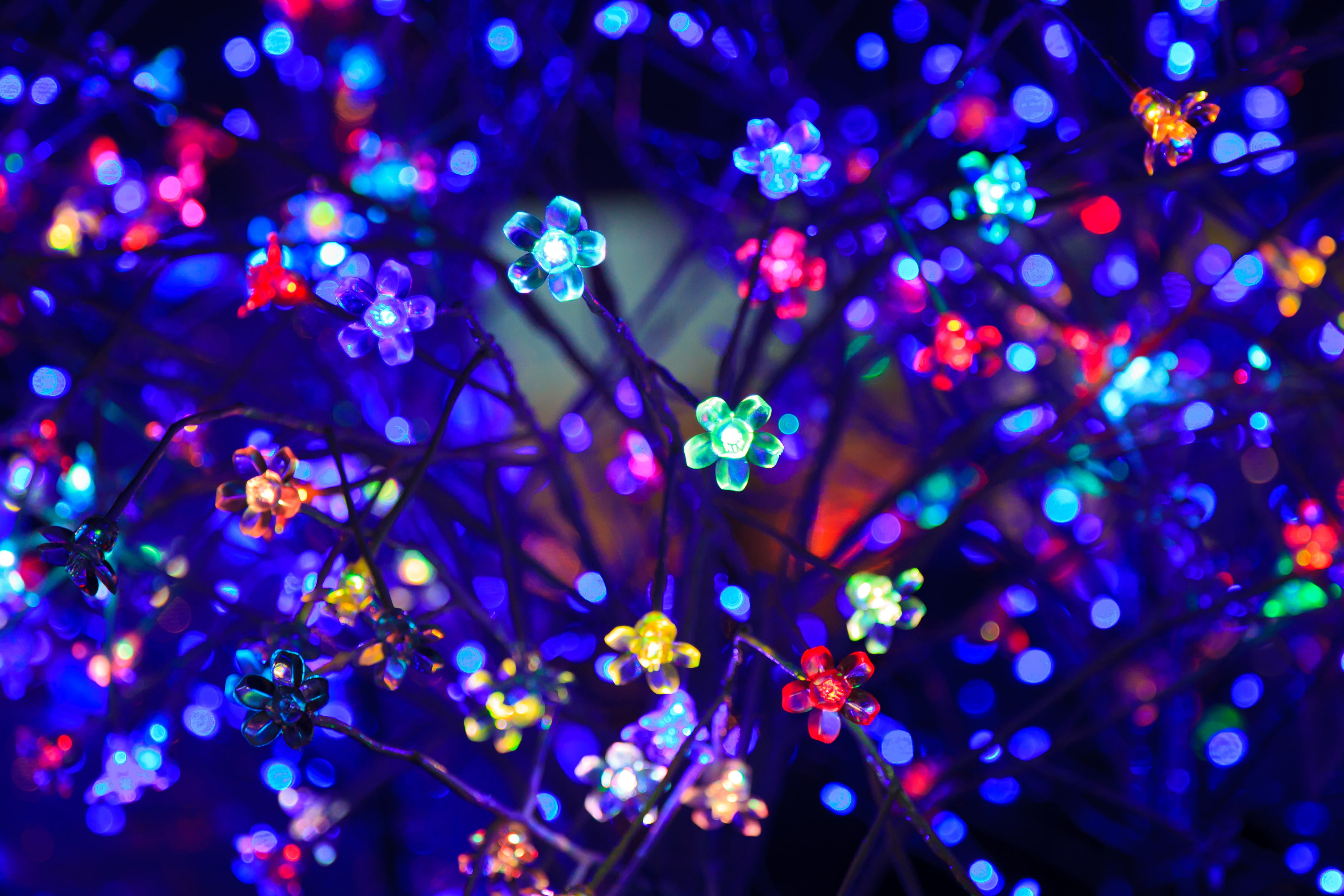 bulbs flowers neon light lighting glare bokeh colorful 2k 4k