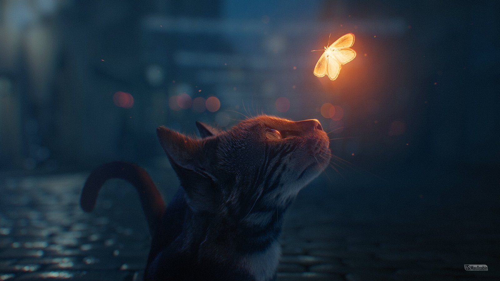 cat night butterfly bokeh by maxasabin 2k