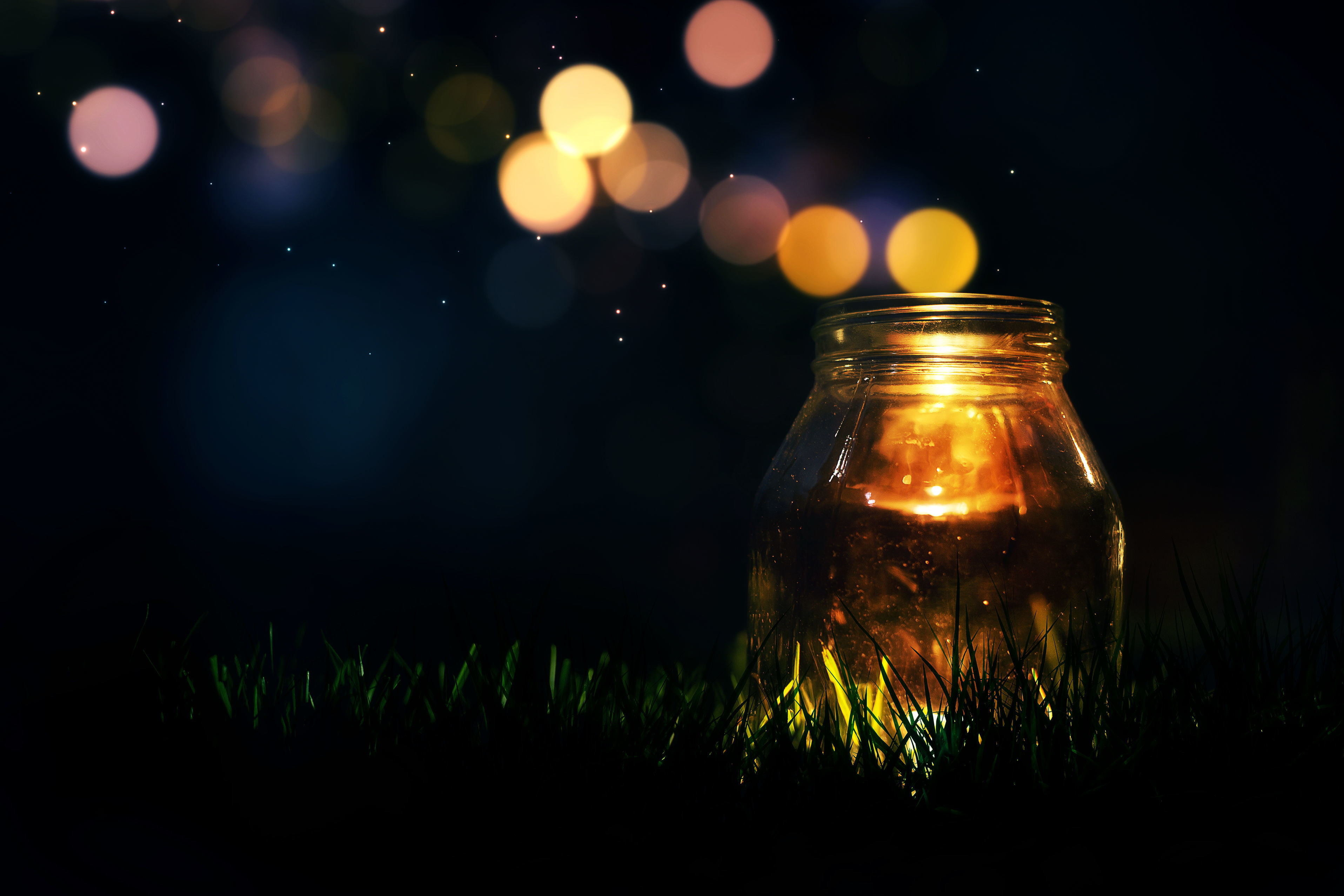 clear glass jar greens grass light background Wallpaper 2k 4k