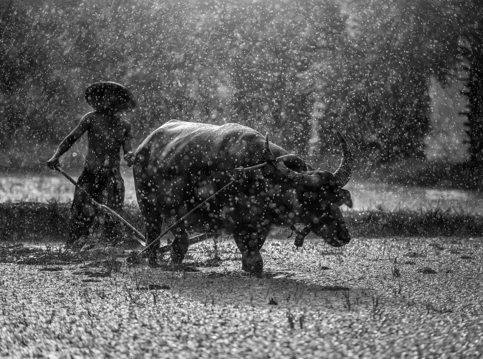 Hard Work Black and White Drops Travel Nature People Asia 2k 4k