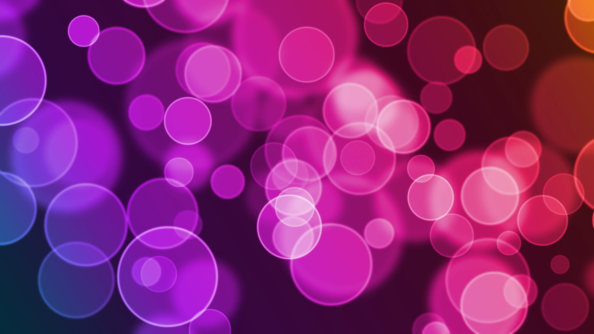 pink and purple light bokeh illustration glare circles colorful 2k