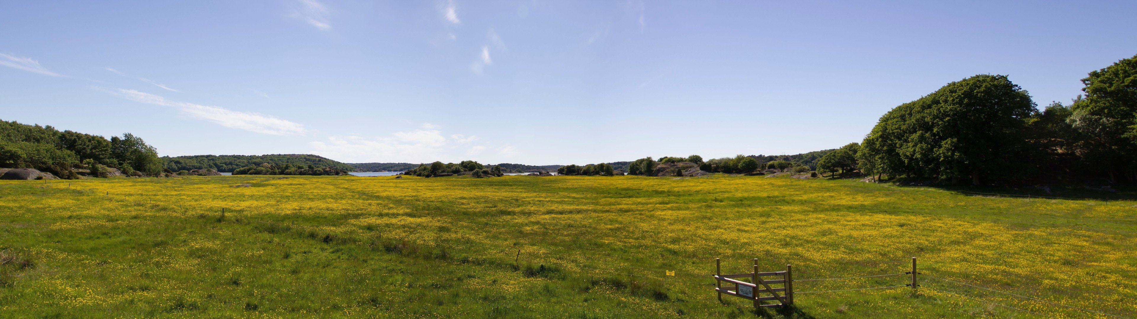 px Dual Monitors Multiple Display People Models Female HD Art 74 widescreen dualmonitor dualscreen 2k 4k