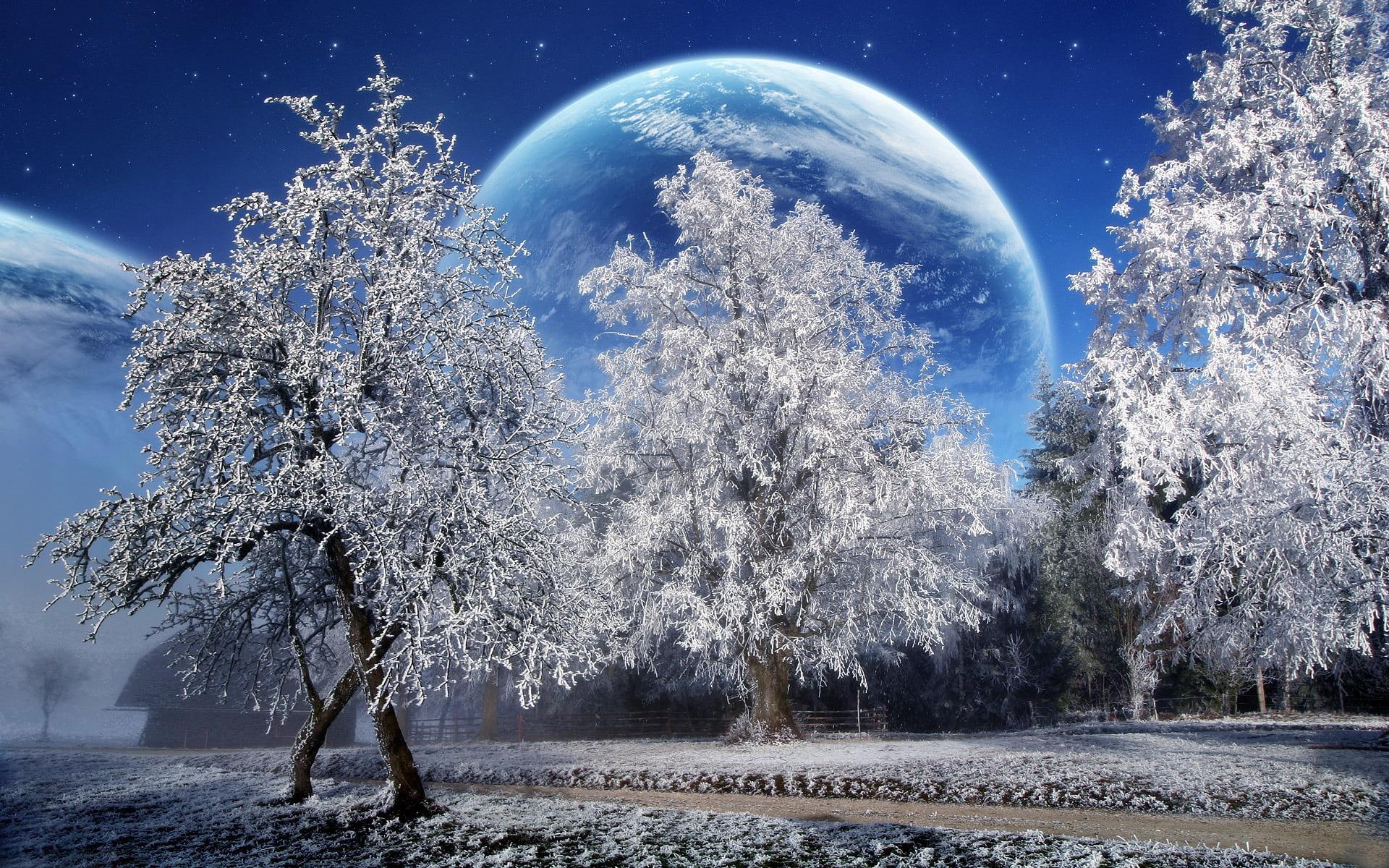 A Beautiful Winter With Big Moon nature tree cold trees 2k