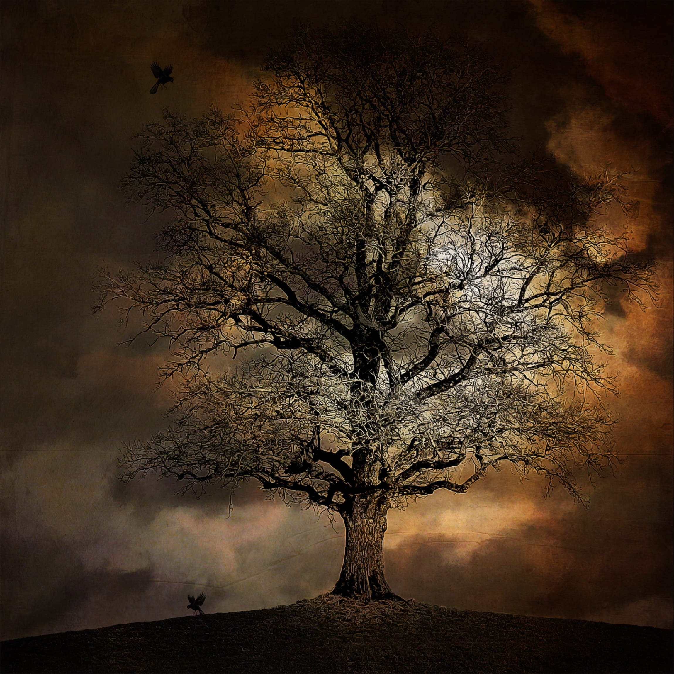 black tree with two birds illustration landscape crow 2k