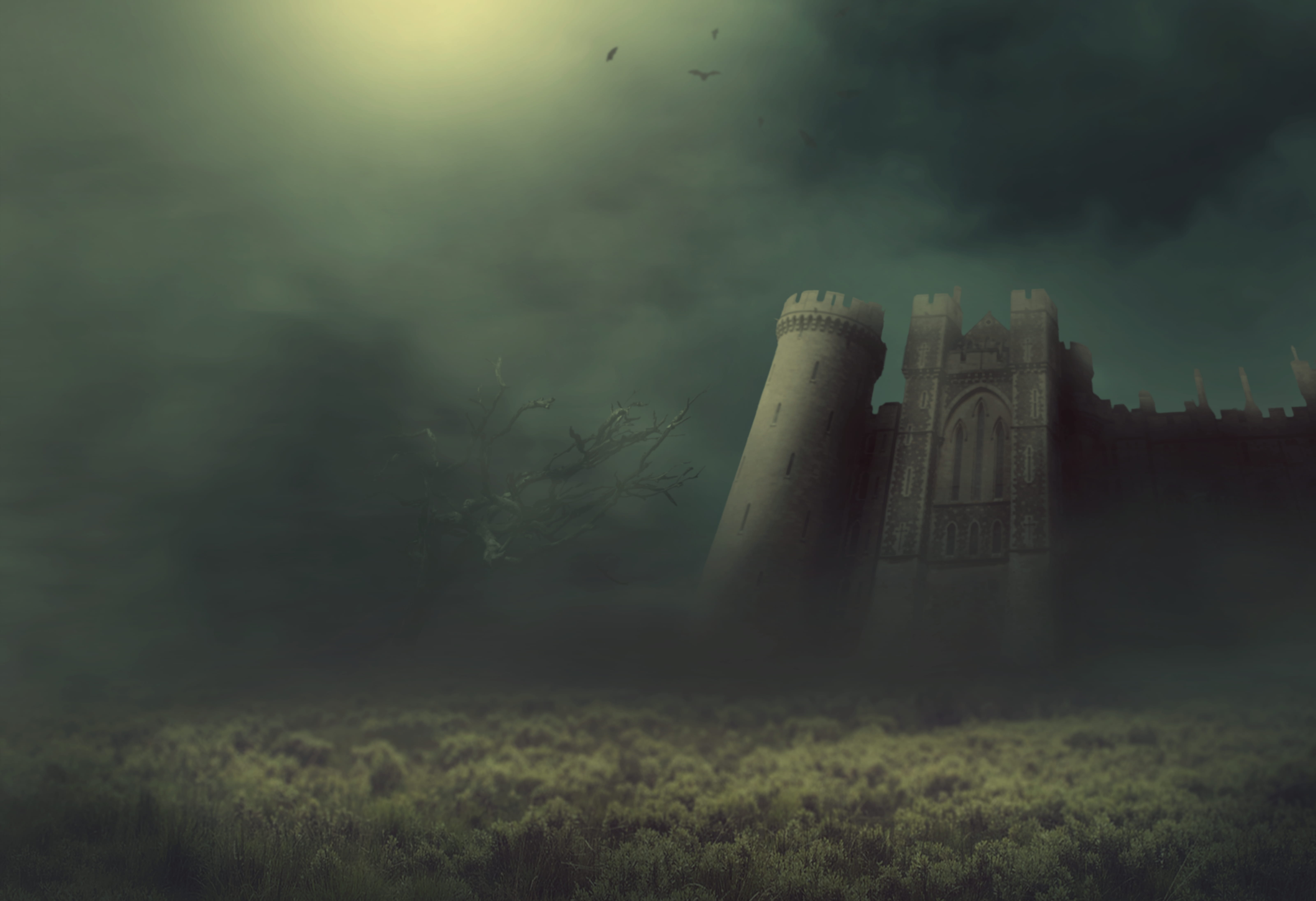fantasy castle fog meadow tree bats knight s surreal 2k 4k 5k