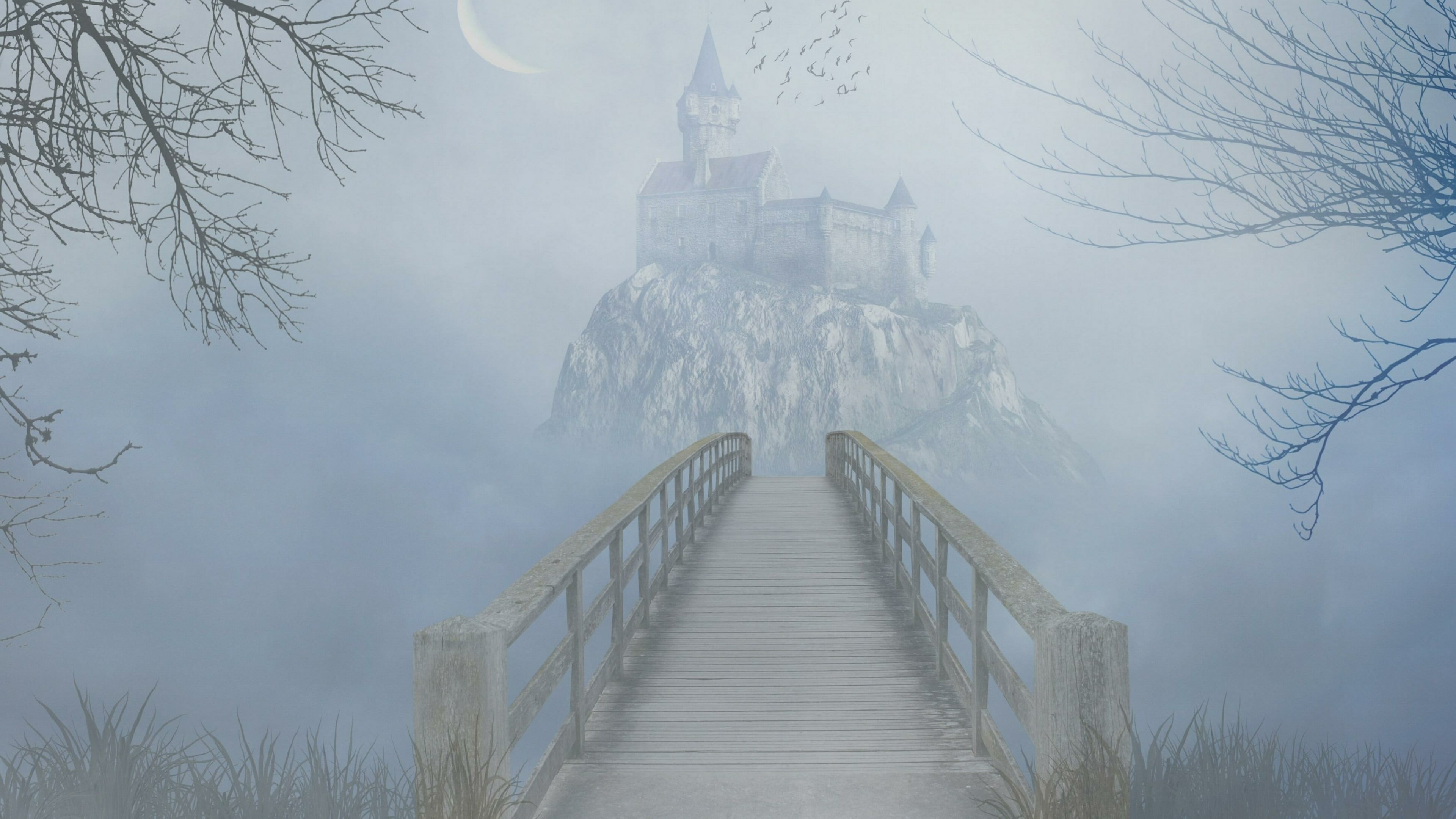 fog sky tree mist castle fantasy art gothic bridge footbridge 2k 4k