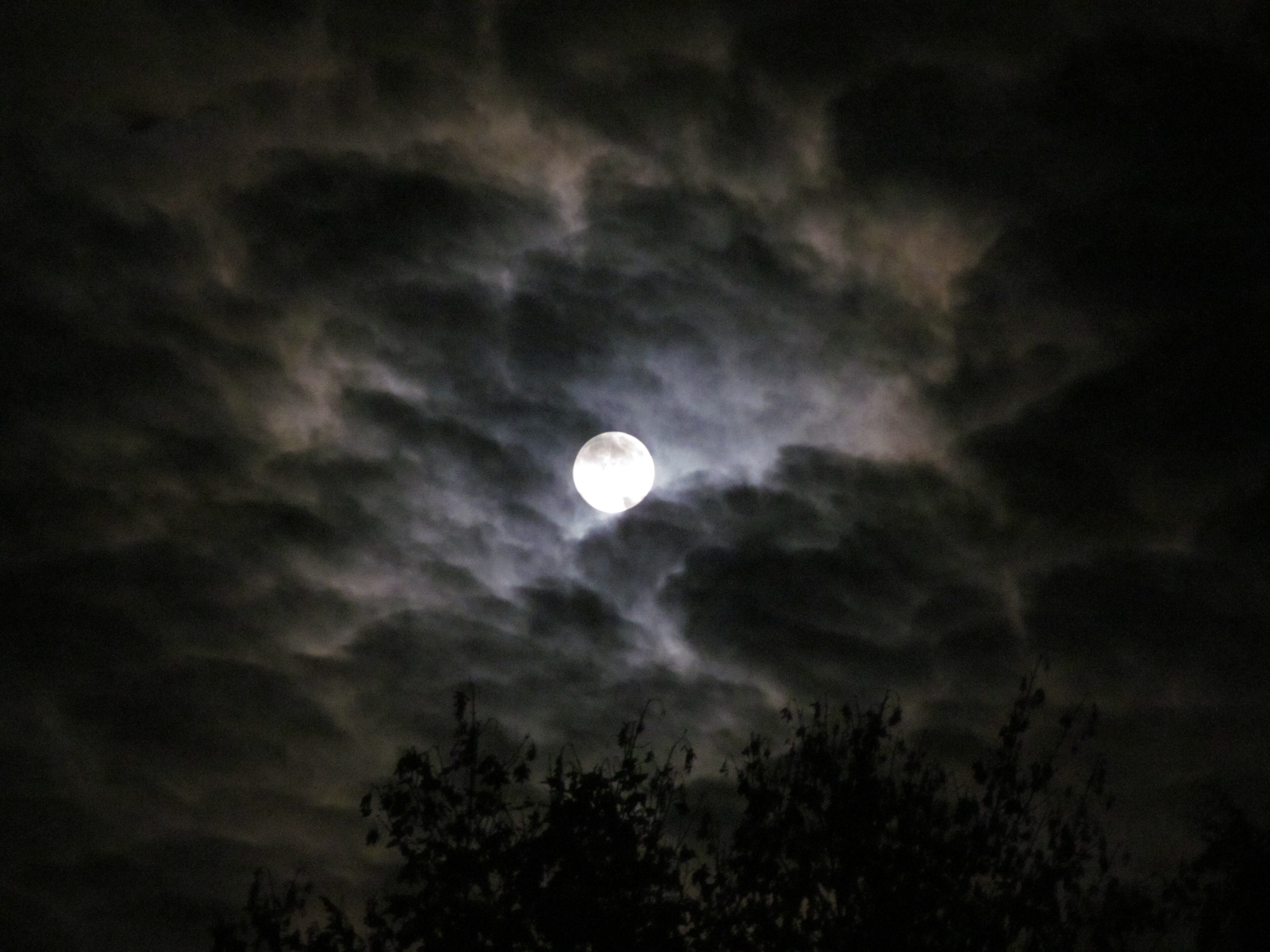 full moon on cloudy sky wallpaper moonlight night evening 2k 4k