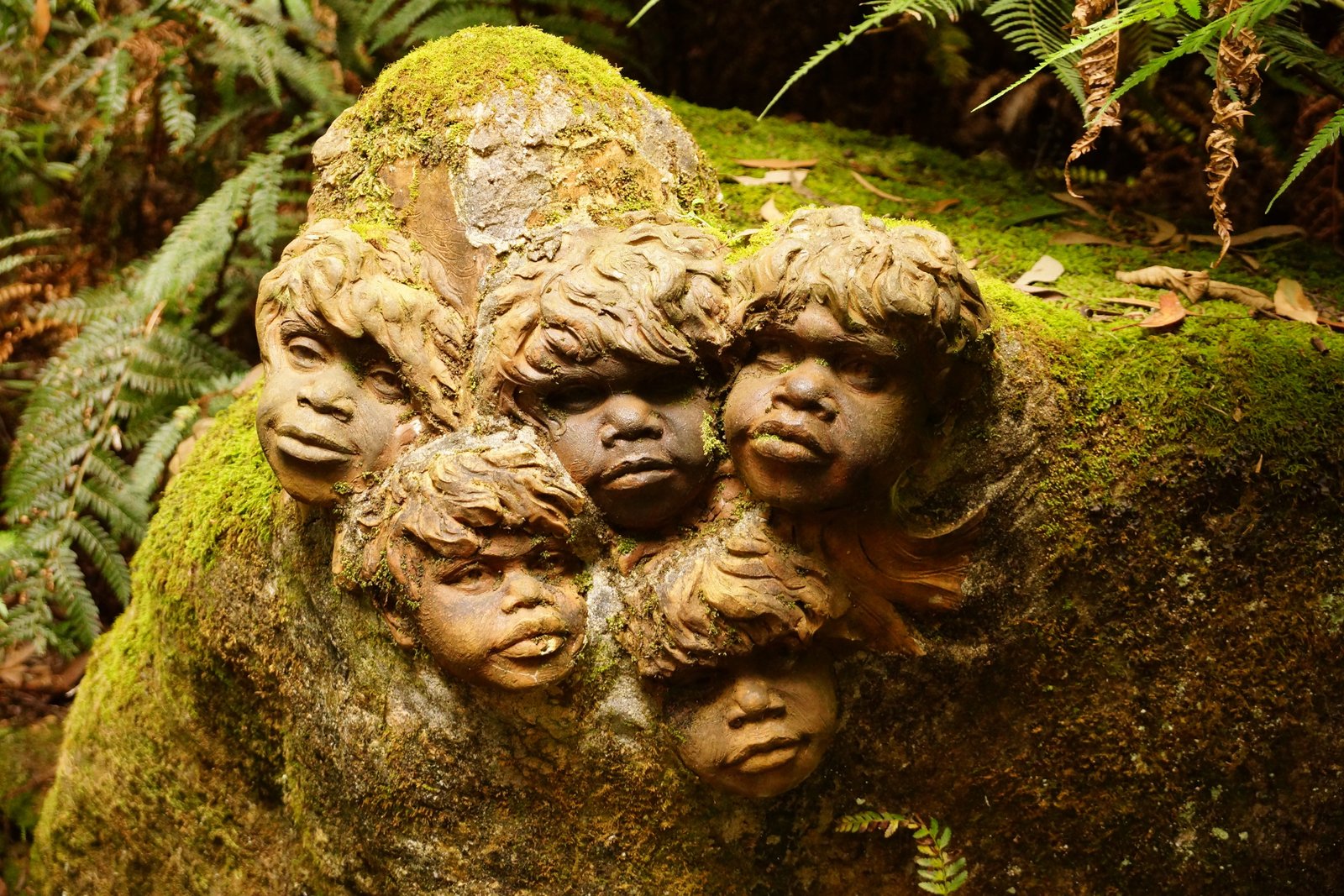 green ferns near rock fragment National Park Australia Aboriginal 2k 4k 5k