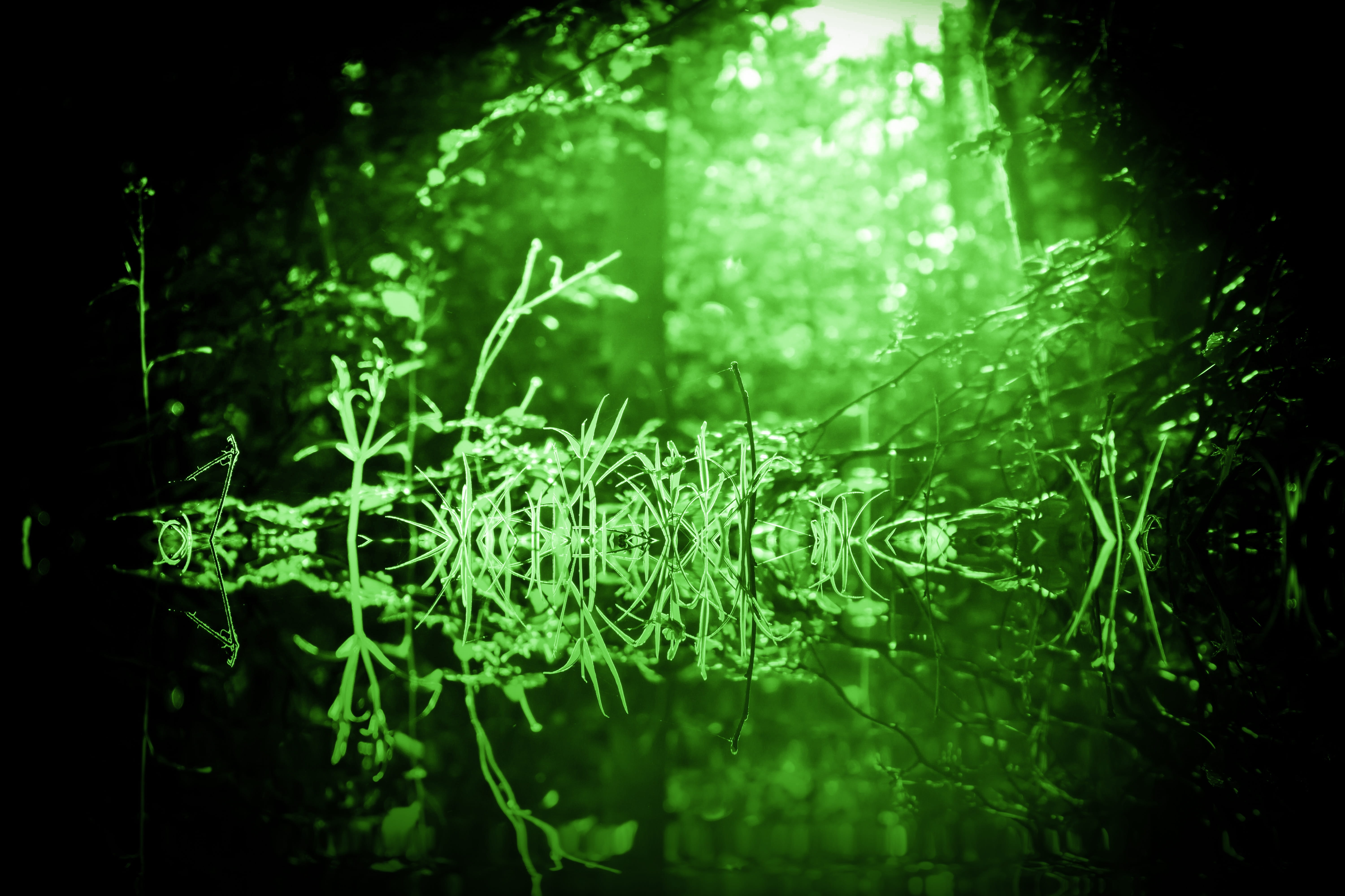 green mystical fantasy mood atmosphere mysterious fairytale 2k 4k 5k