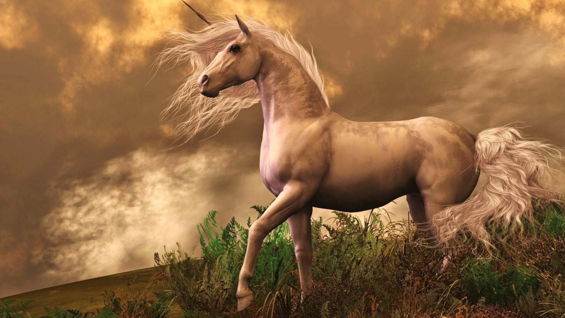 horse unicorn legendary creature folklore myth mythology 2k