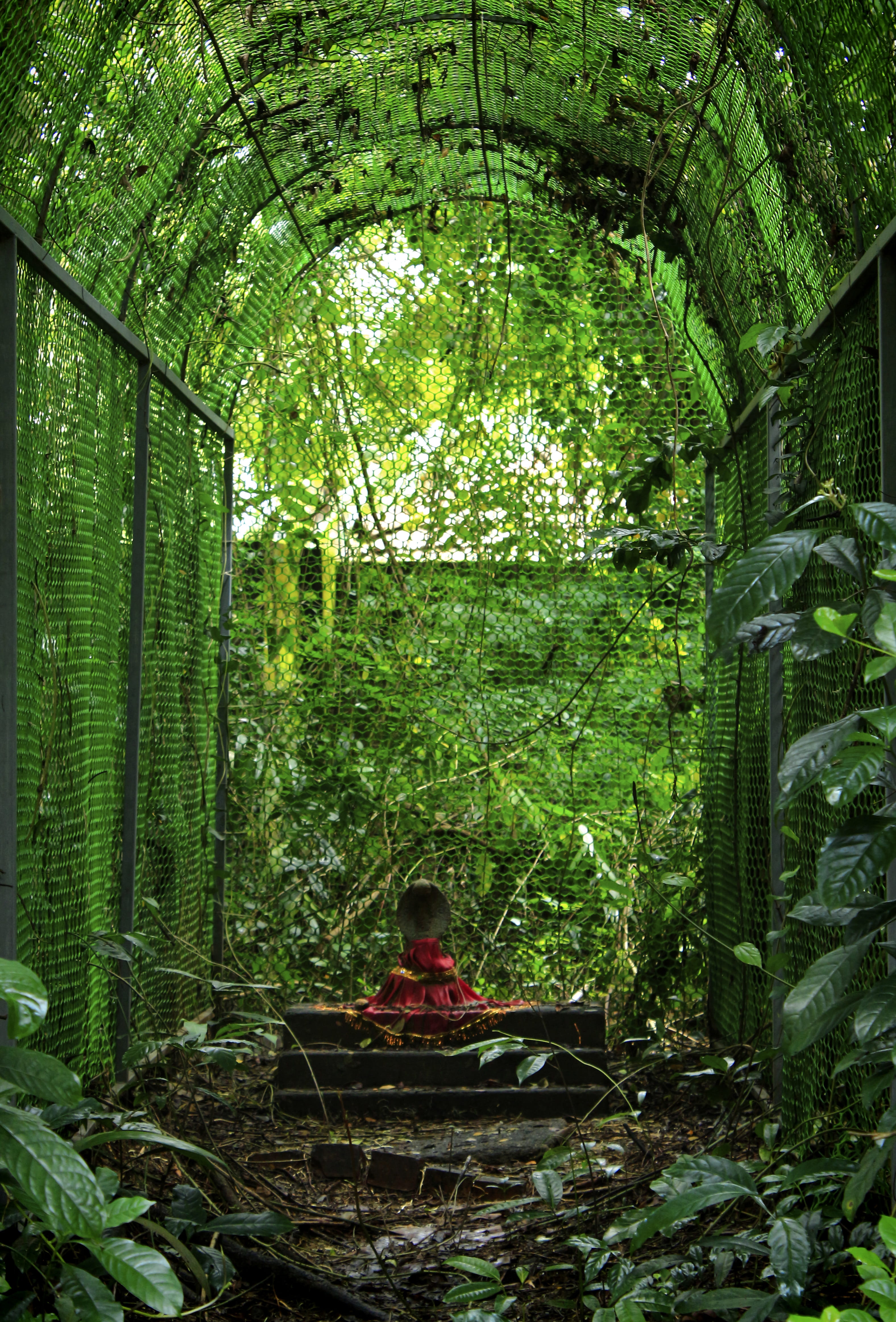 india aroor shrine temple kerala nature mystical religious 2k