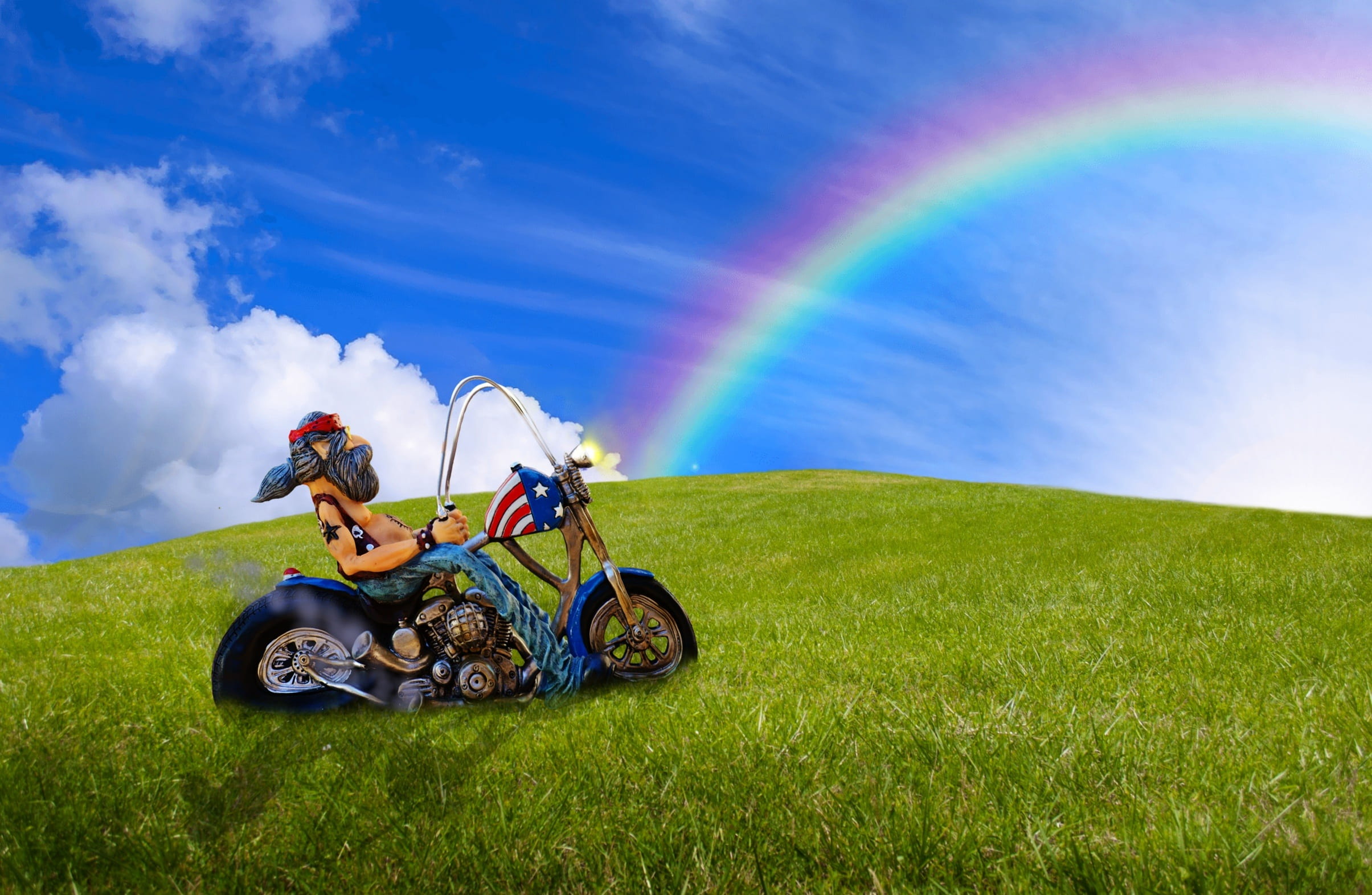 man riding cruiser motorcycle on grass field wallpaper biker 2k