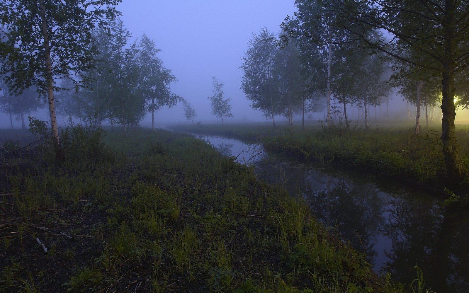 Mystic River trees stream mist nature blue dark and abstract 2k
