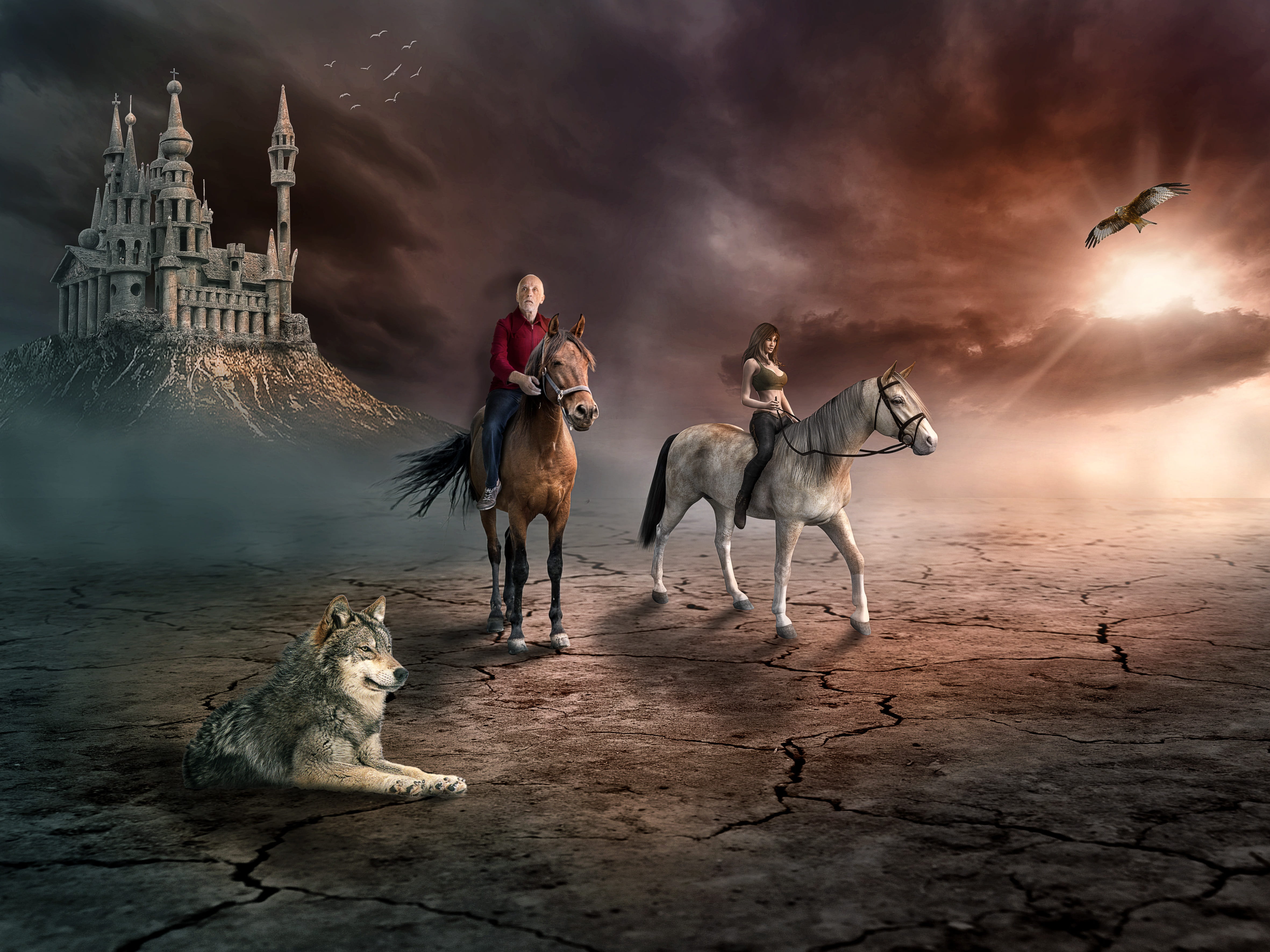 photo of man and woman on horses beside wolf bird human 2k 4k 5k