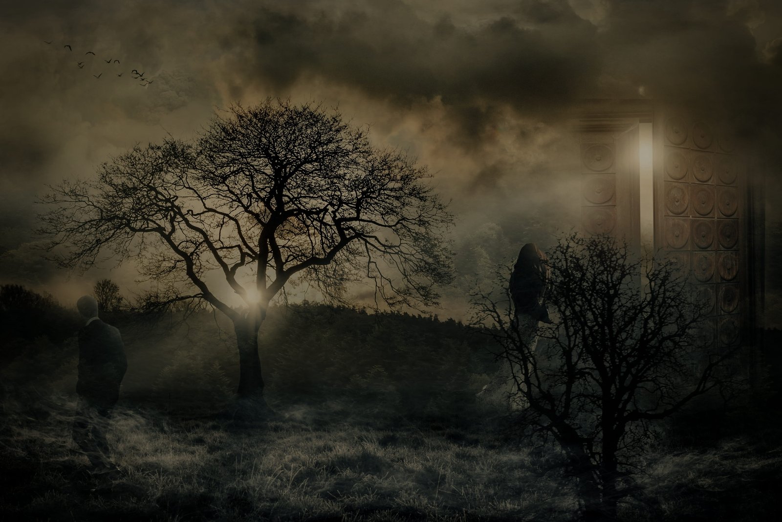 separation pain mystical farewell mysterious tree plant 2k 4k