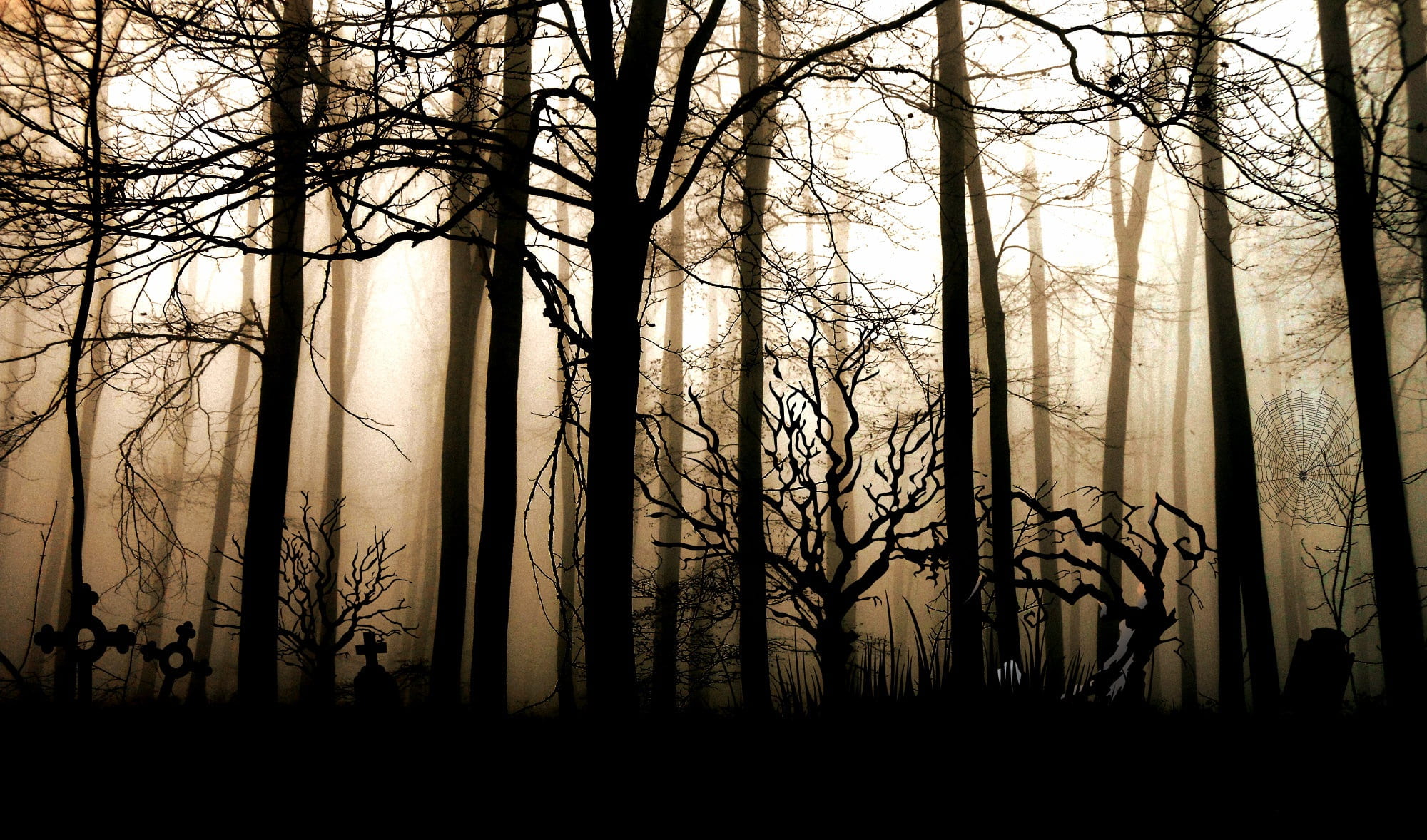 silhouette of trees forest dark fog gloomy mystical lighting 2k