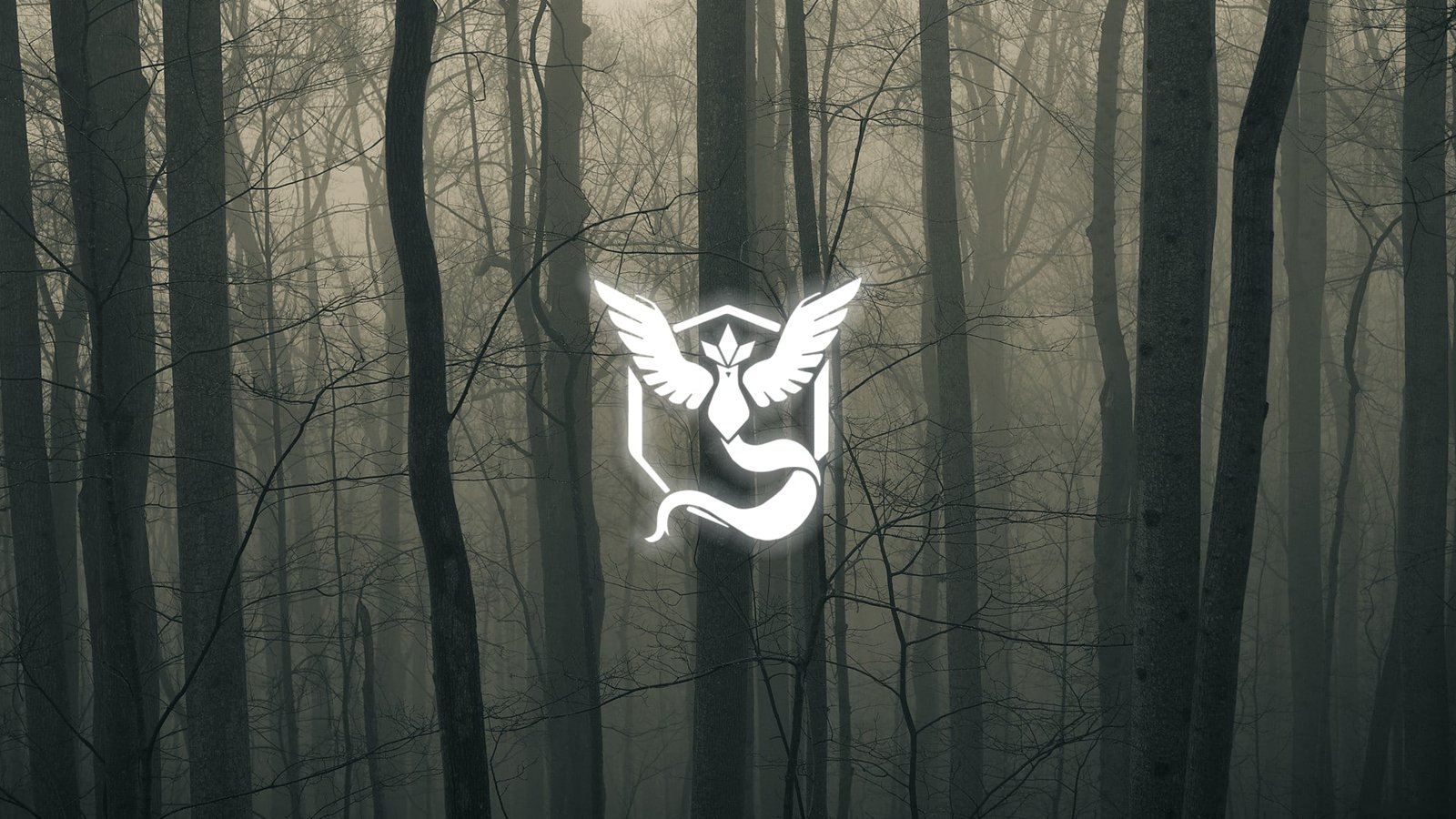 Team Mystic dark trees green white plant tree trunk nature 2k