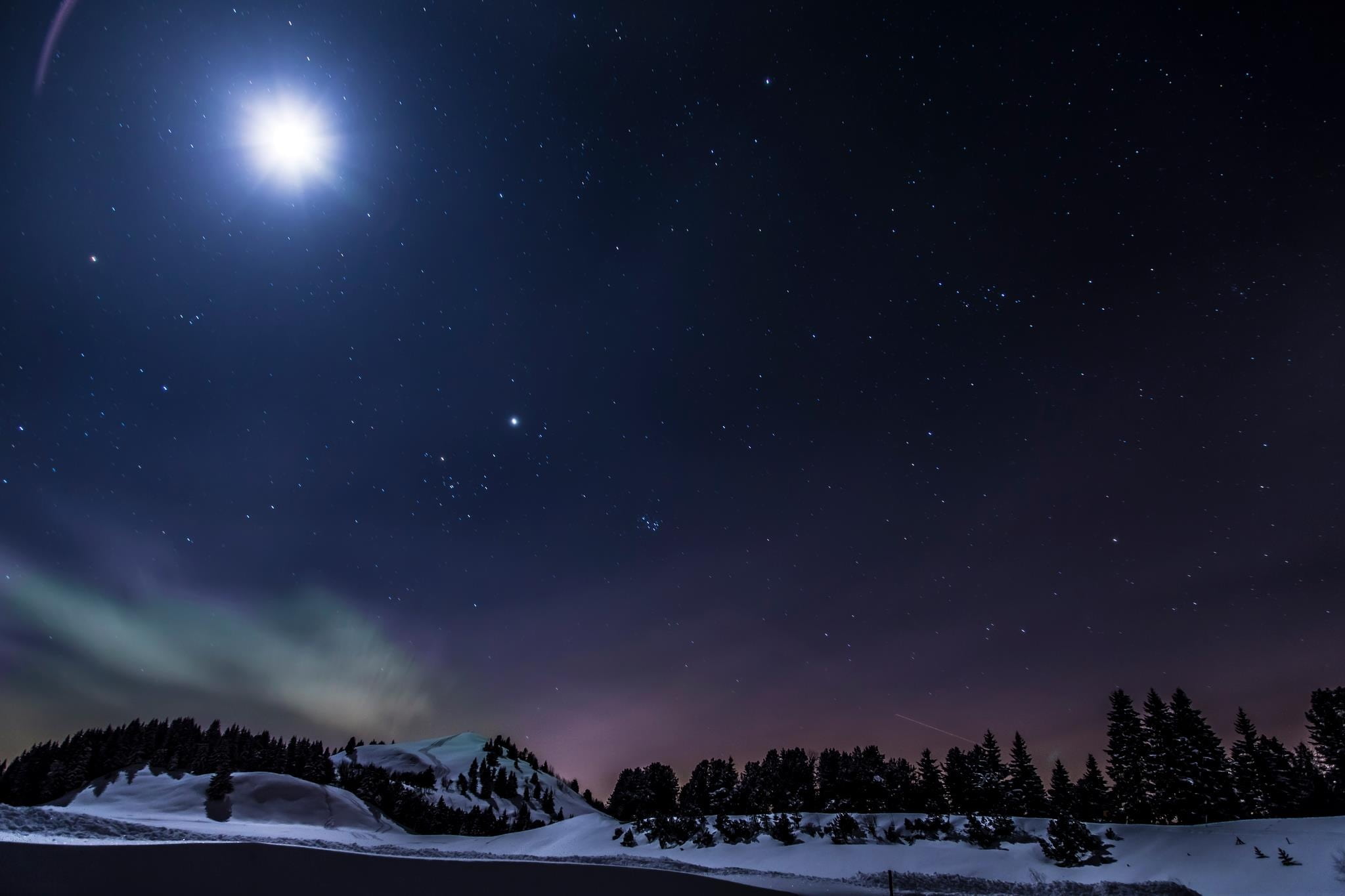 trees during winter painting switzerland gurnigel long exposure 2k