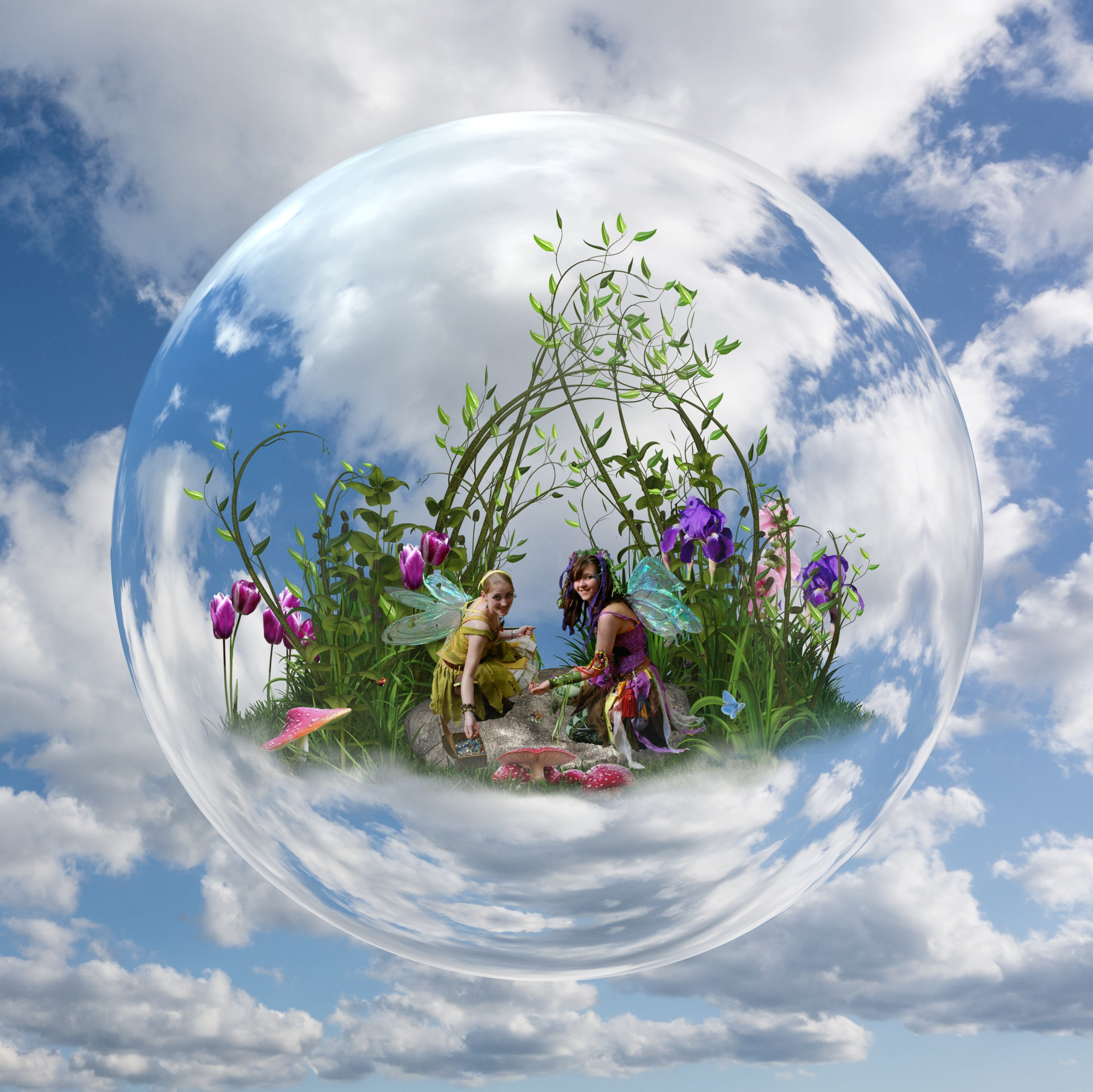 two fairies near purple petaled flowers inside bubble digital wallpaper 2k 4k