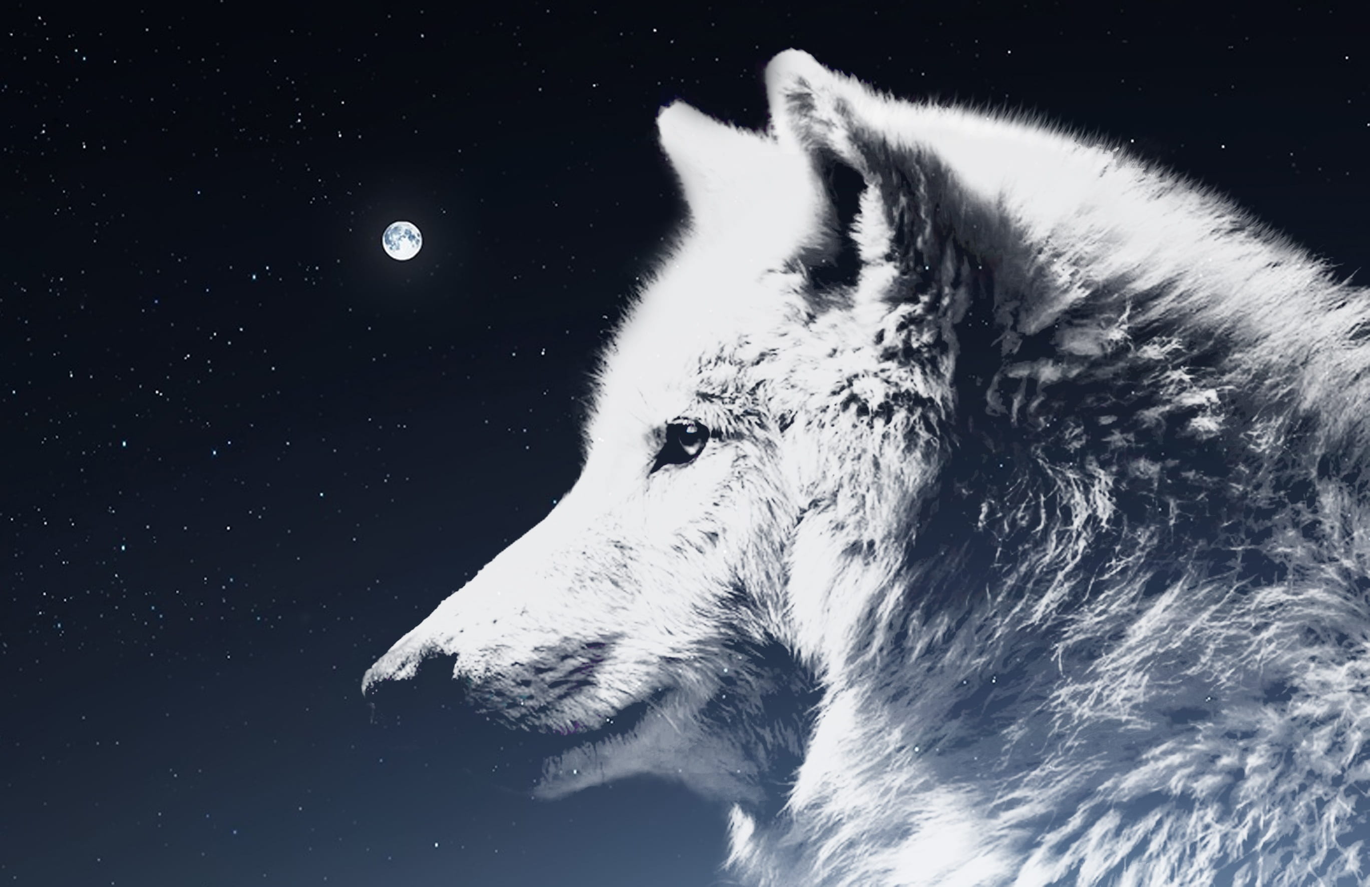 wolf night sky moon atmosphere mythology white spirit beings 2k