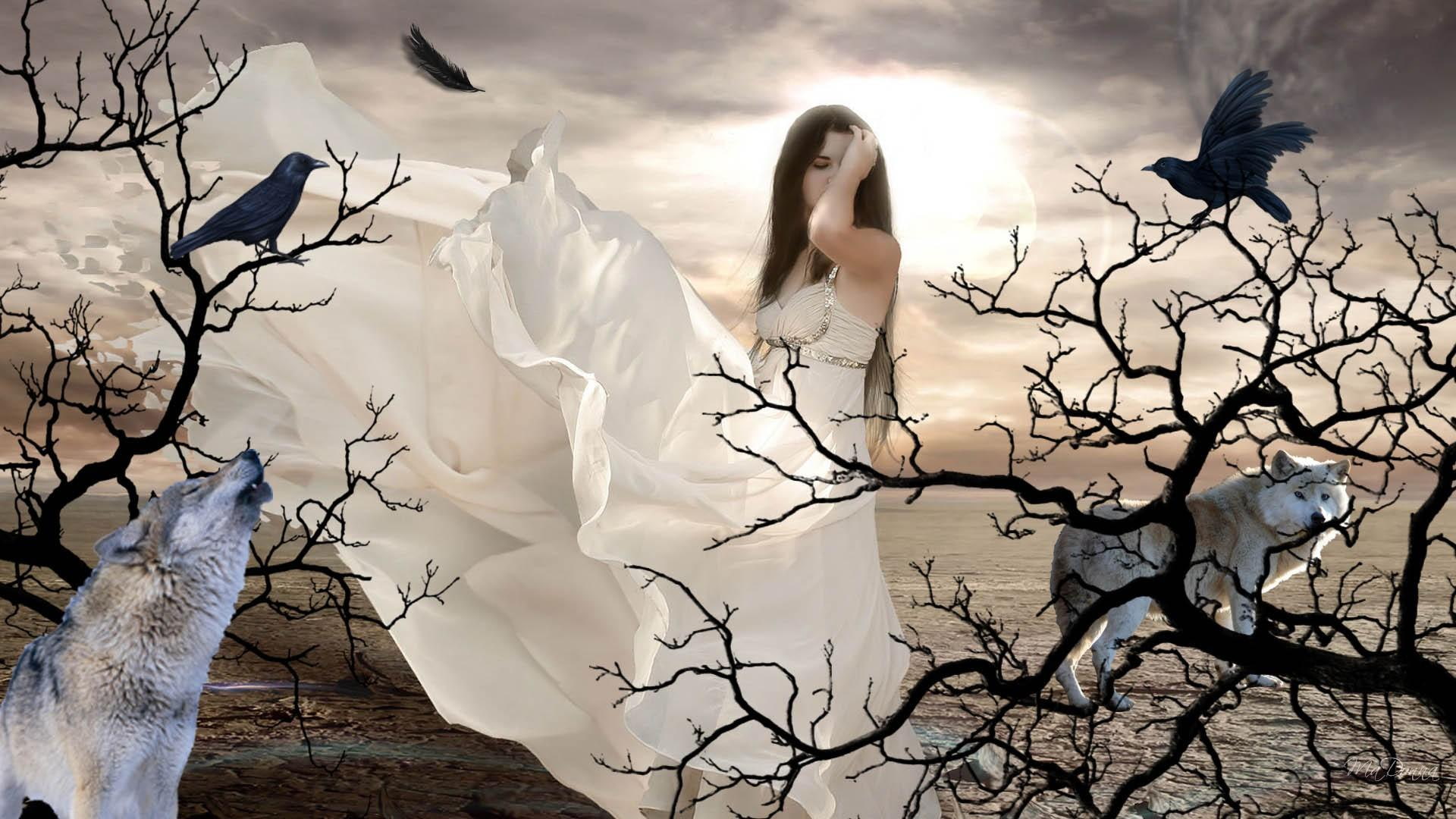 Woman Of The Wolves girl gothic feather dead trees beautiful 2k